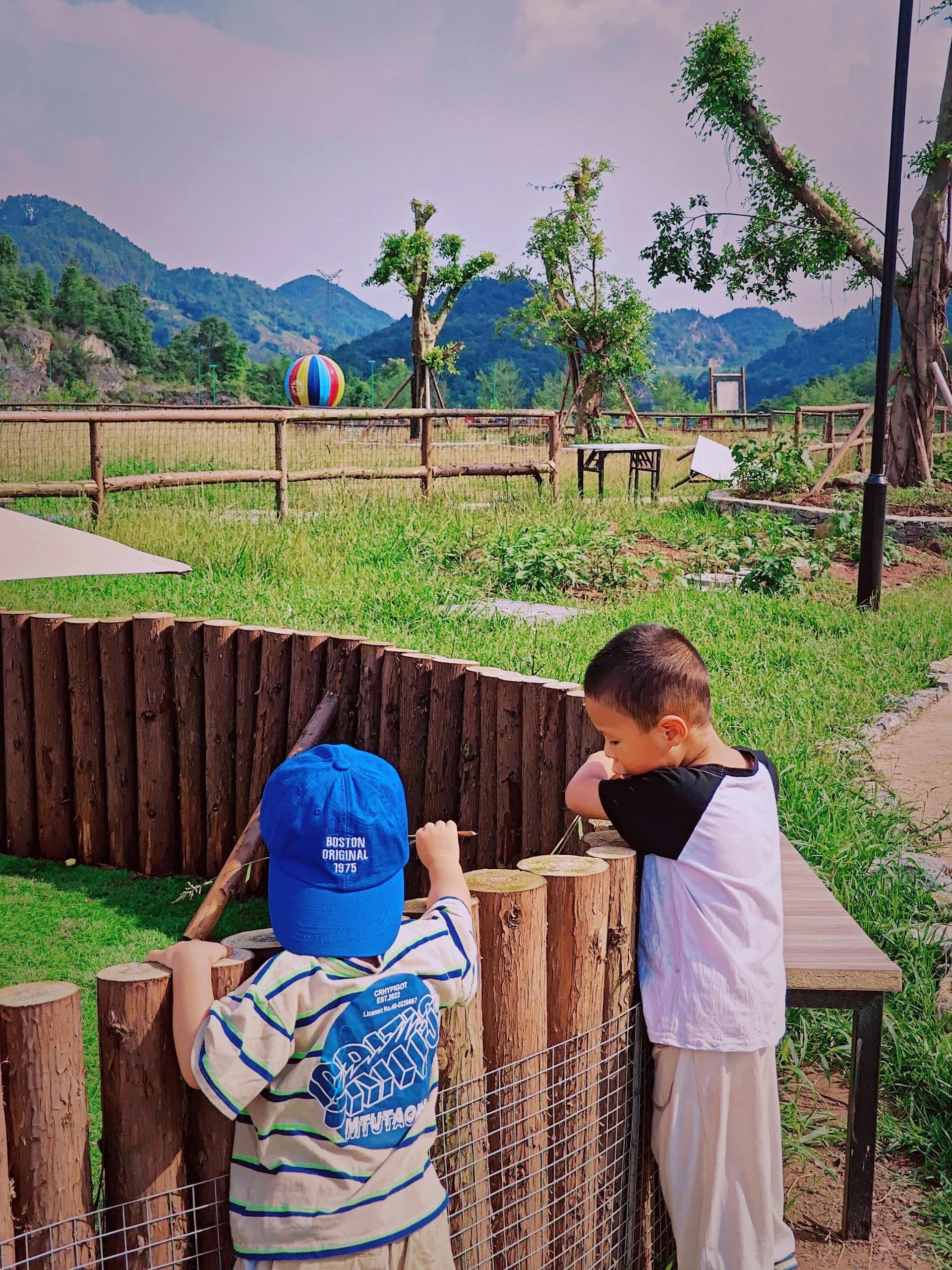 重庆遛娃 | 3天2晚的露营圣地  平时周末露营都来去匆匆,偶尔来个小