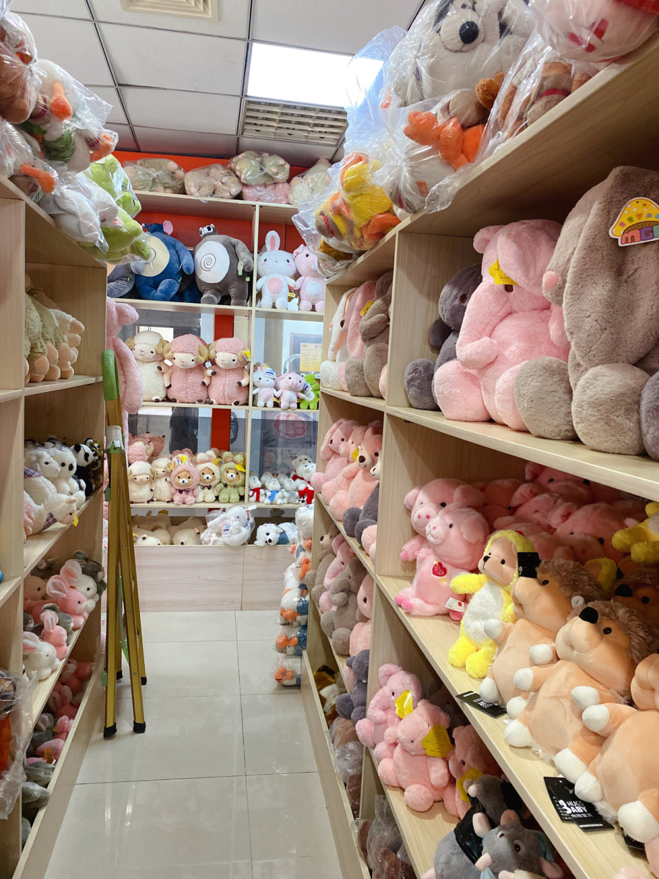 扬州五亭龙玩具批发城 从扬州北一下高速就到了(有男生的最爱-汽车城