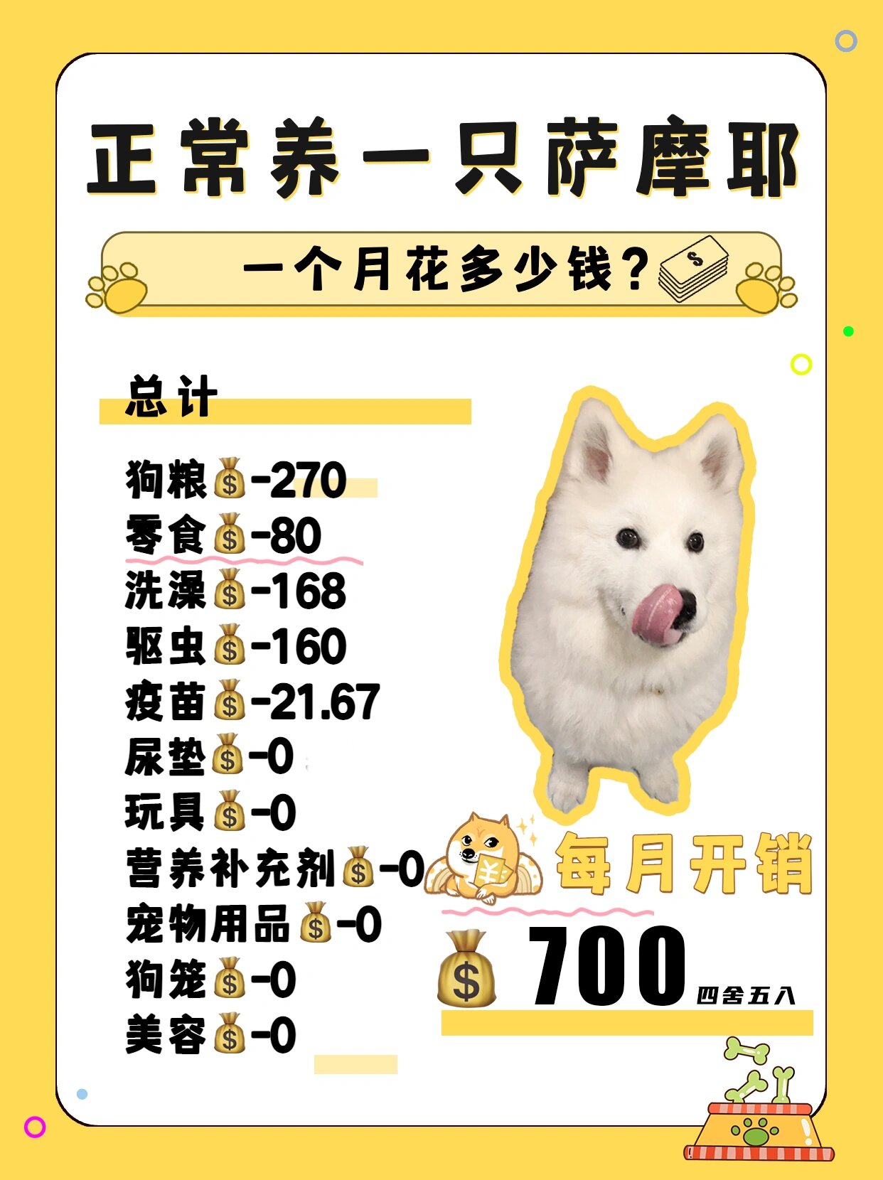 养狗四年告诉你养萨摩耶一个月花多少钱 小猪脚过2个月就4岁了�