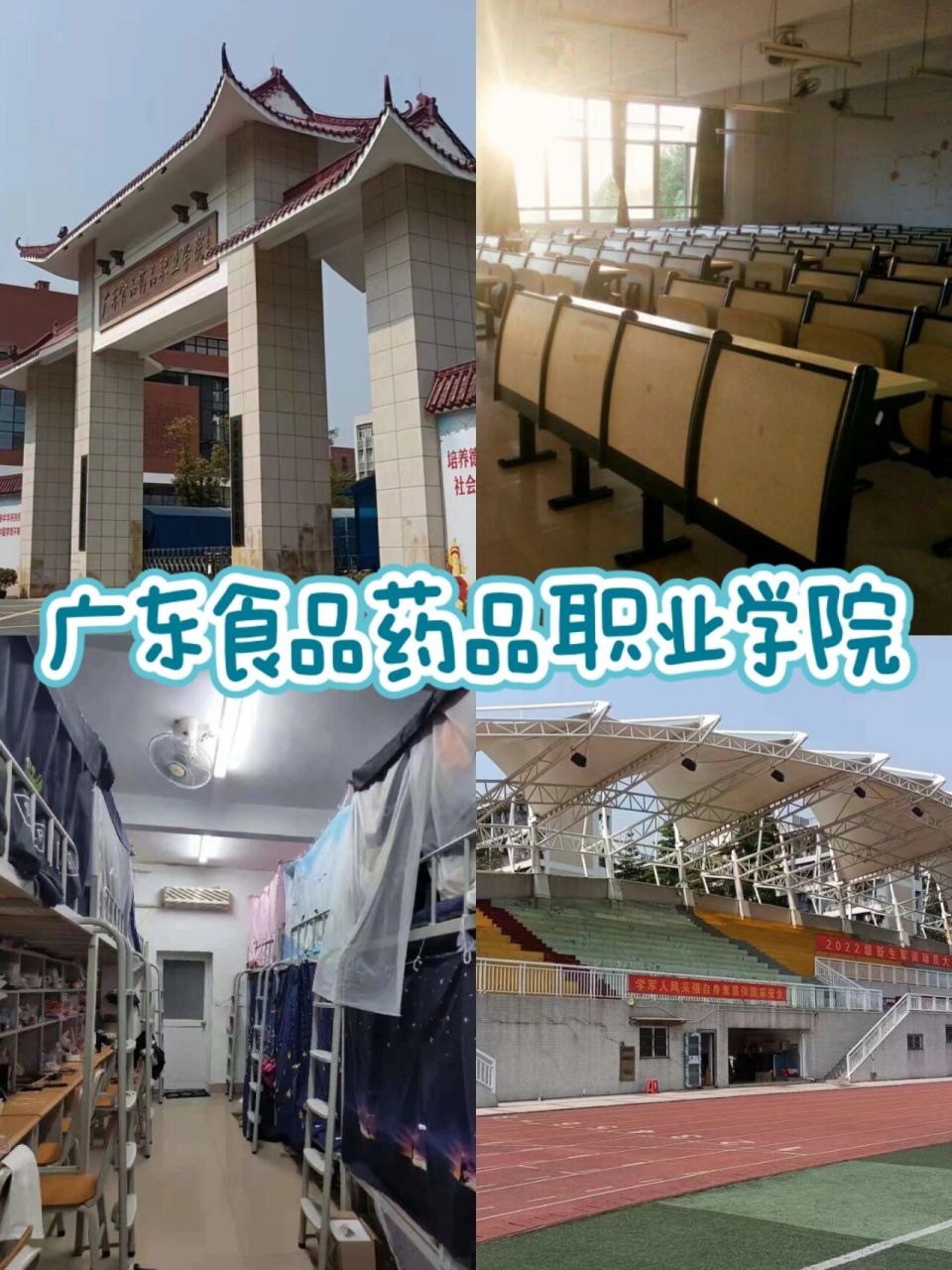 广东食品药品职业学院 ✅关于学校: (1)位置:我们学校位于广东省广