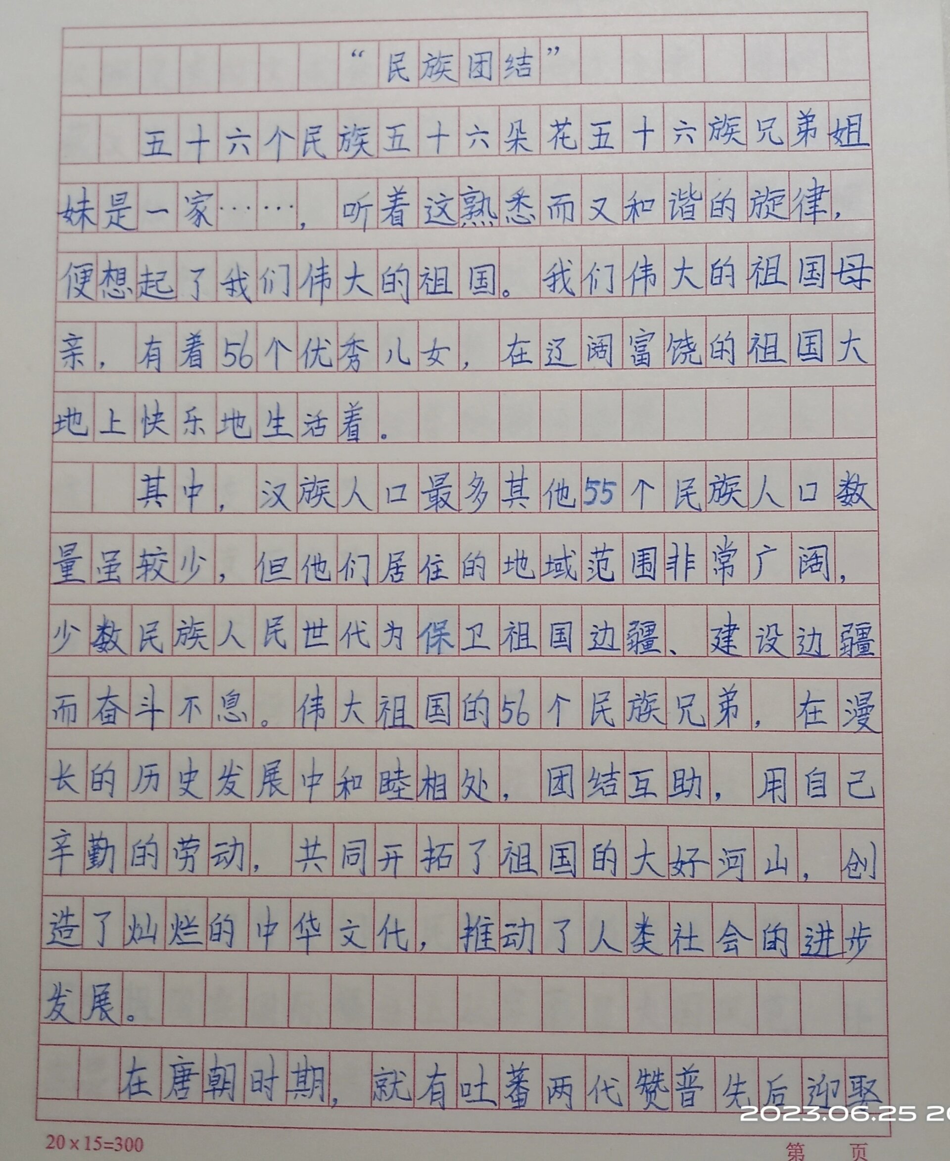 "民族团结″600字作文