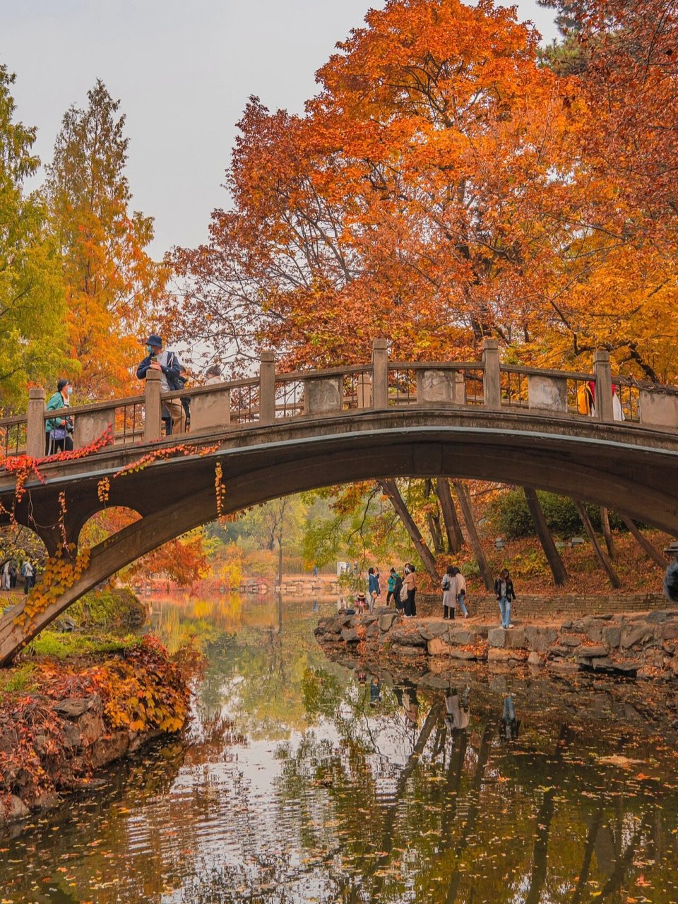 颐和园|深秋的颐和园后湖美成一幅油画 不同于春日的花团锦簇 不同于
