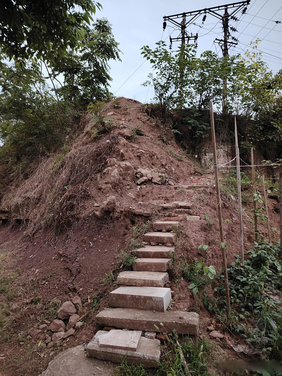 昨天黄昏笔者在沿滩新城盐府路散步时,突然被路边一条蜿蜒,陡峭且狭窄