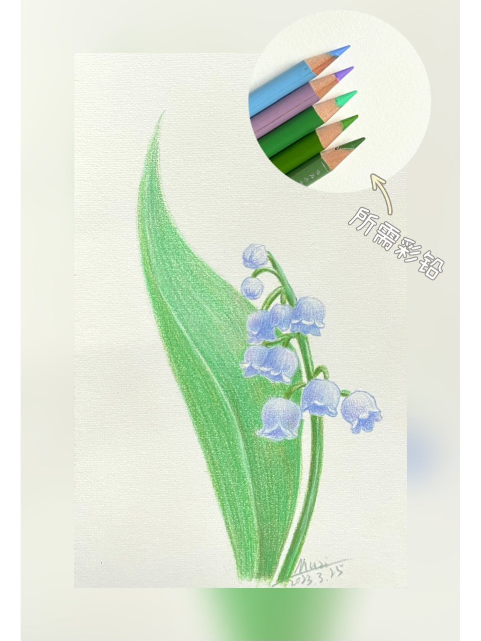 彩铅花卉(12)铃兰花 铃兰花的绘画步骤图