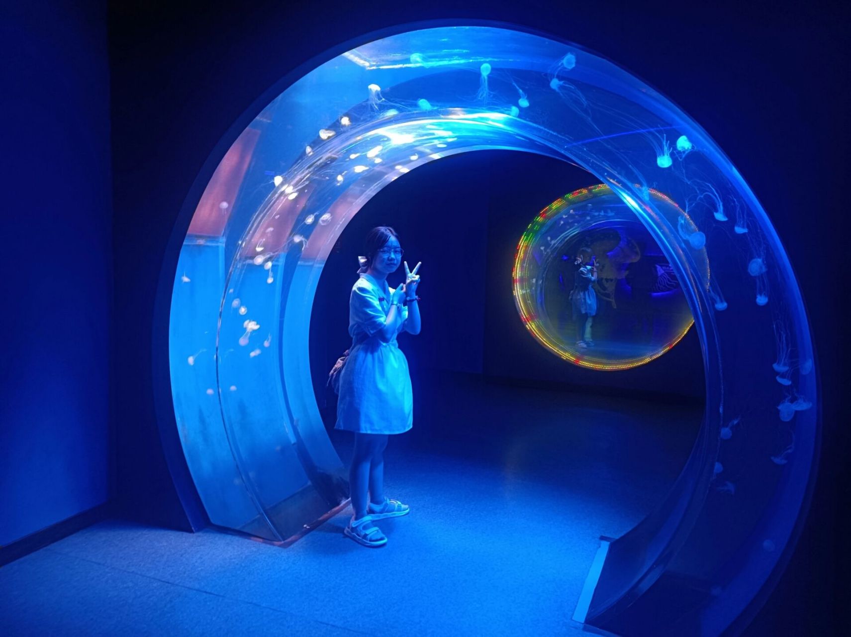 未来水母馆 水母很好看,加上灯光,很梦幻 2.