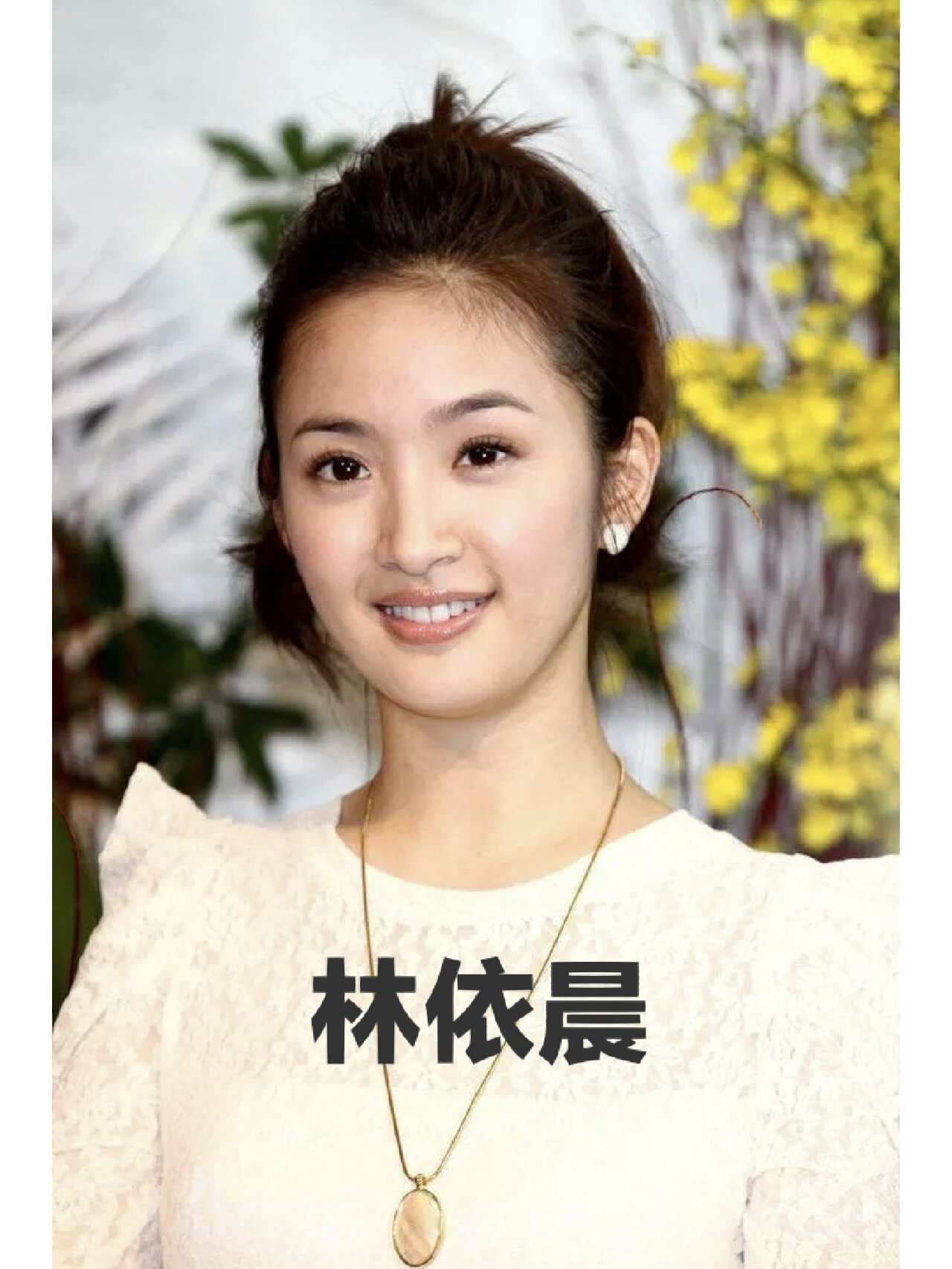 林依晨 林依晨(ariel lin)中国台湾女演员,歌手