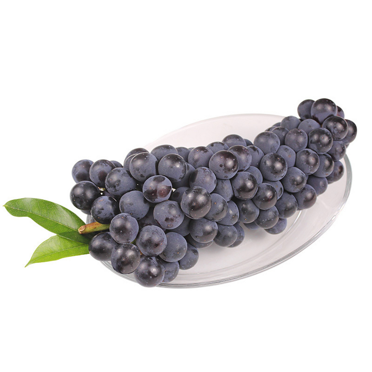 365天绘画素材||巨峰葡萄 巨峰葡萄,说爱你不容易!