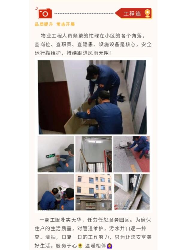 物业工作简报配照片图片