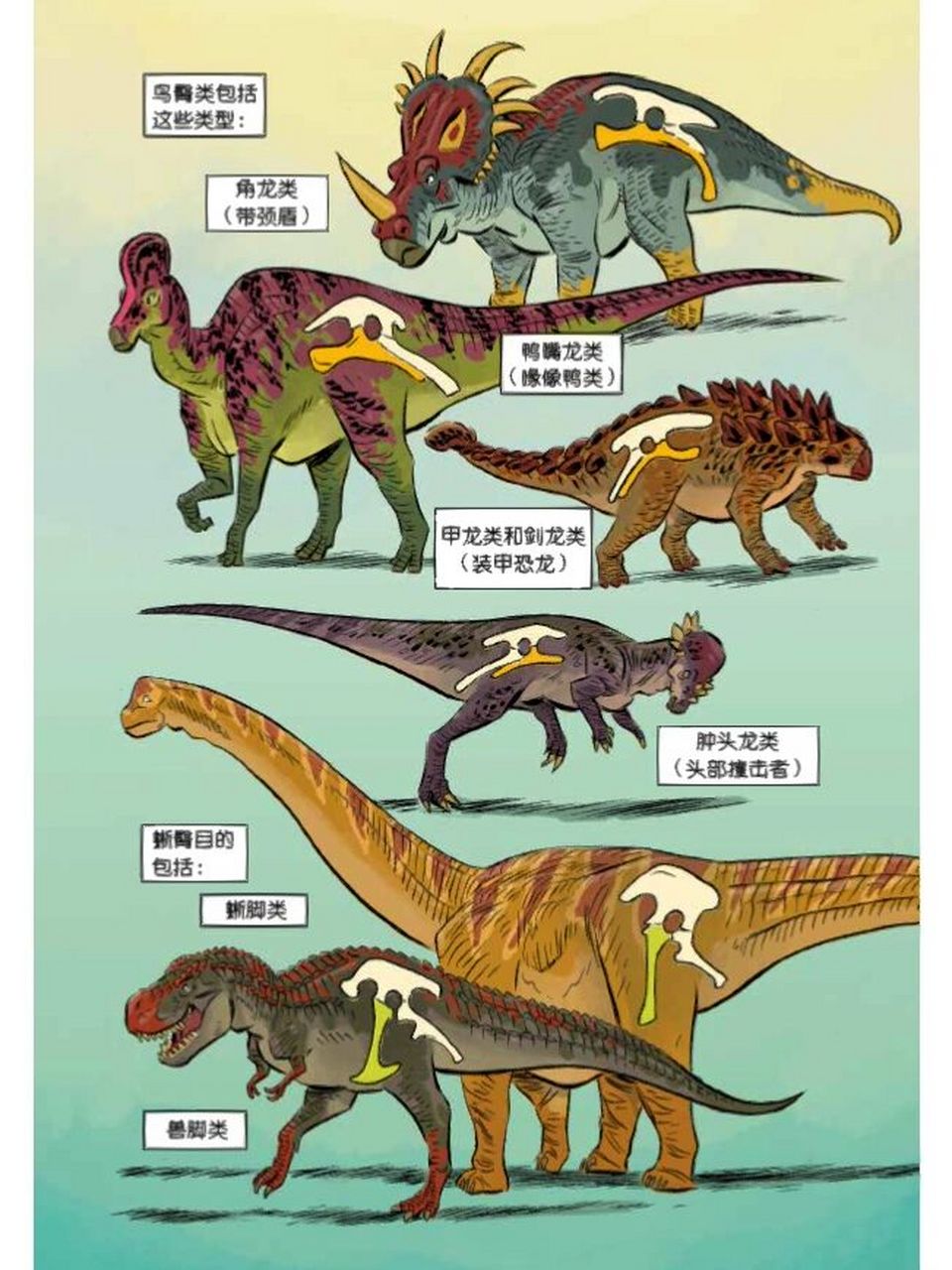 鸭嘴龙科恐龙排名图片