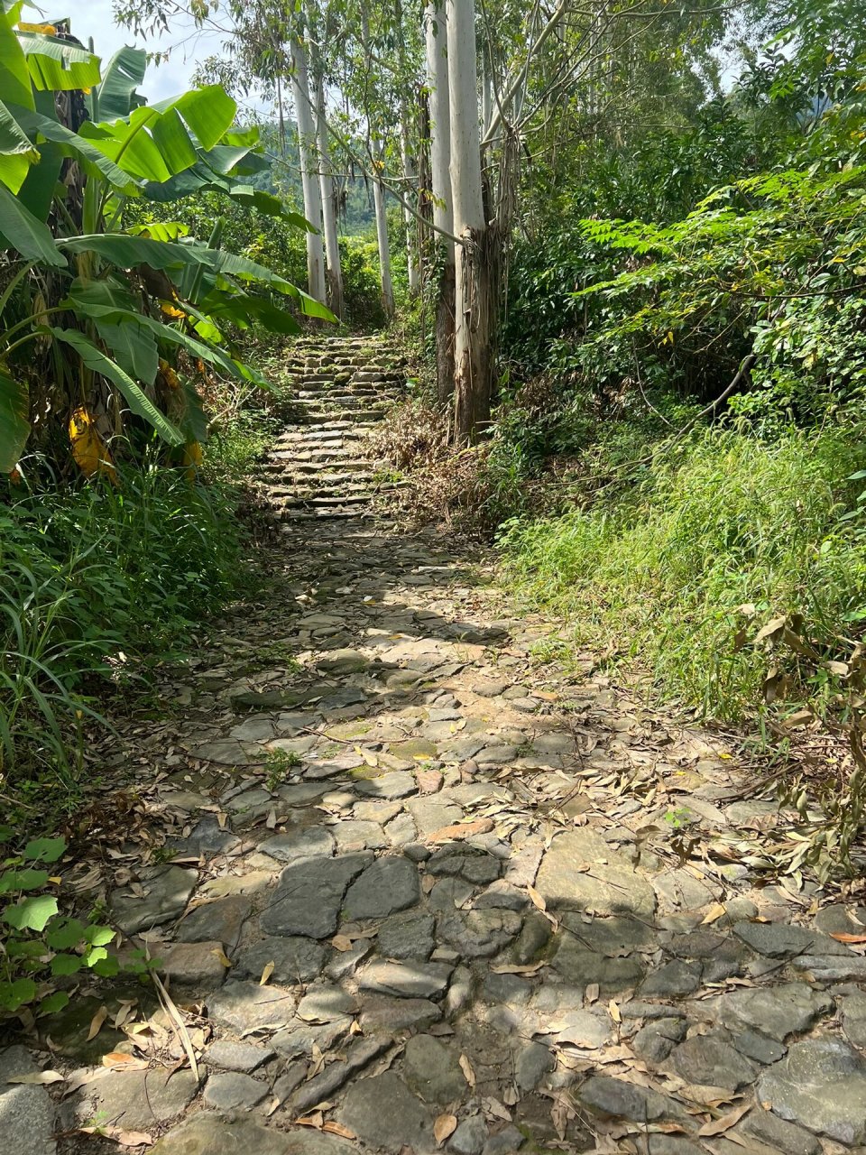 福州连江贵安古道驿站   有点难度量力而行 我只爬到红军泉就往回走了