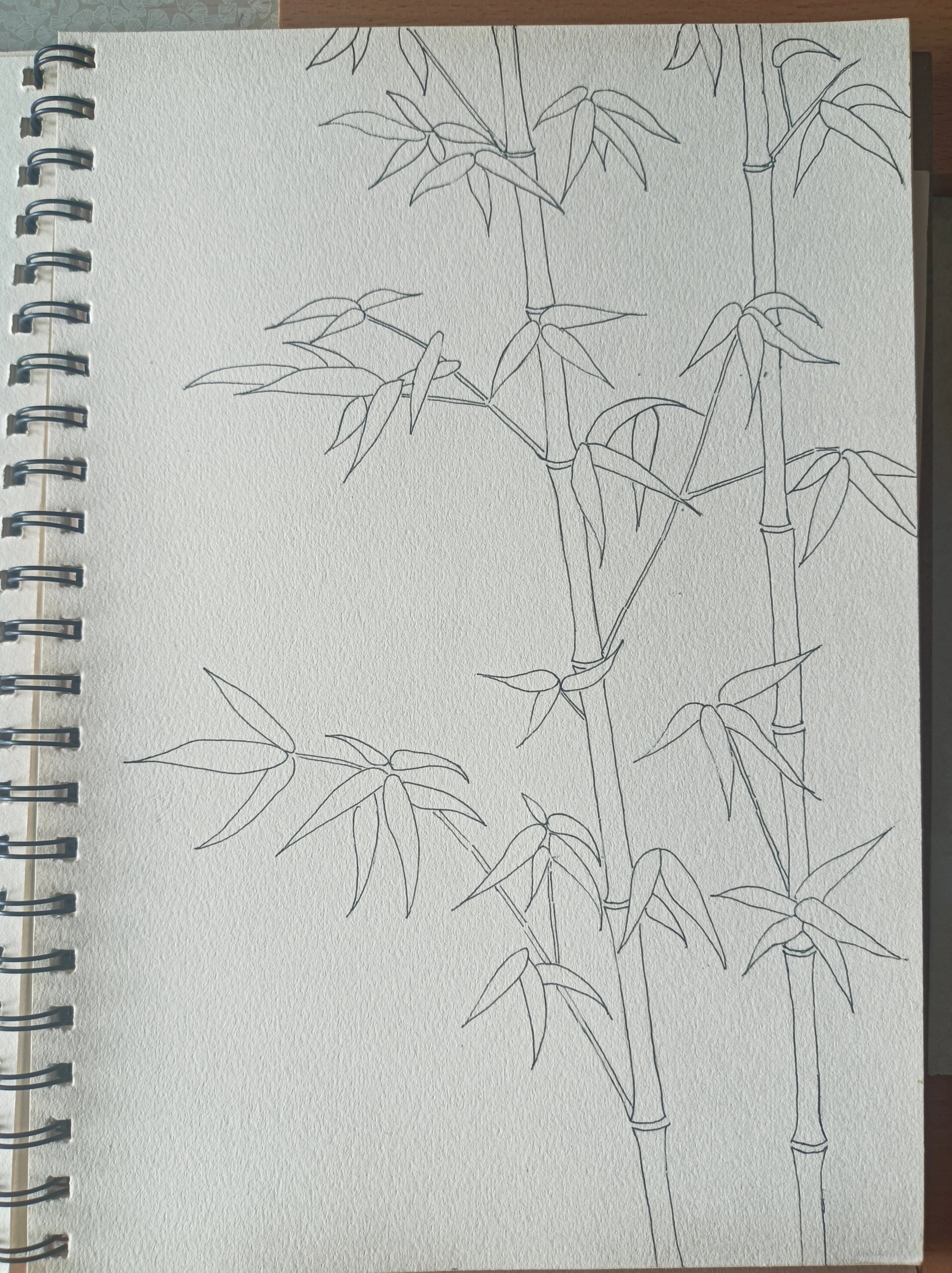 竹子(彩铅画) 今天临摹了一个简单的,一共就用了三种颜色,对新手很