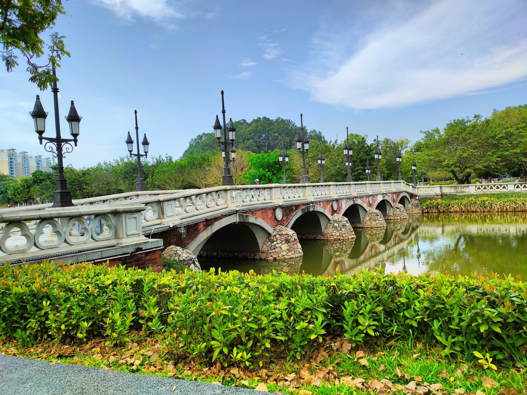 东莞常平常新公园   东部中心医院附近,东田丽园附近