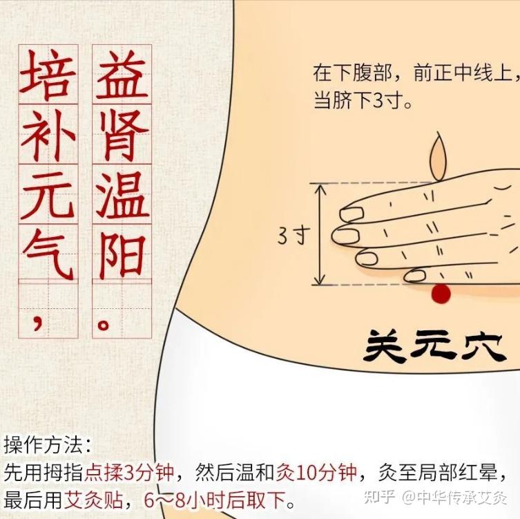 关元准确位置图和作用图片