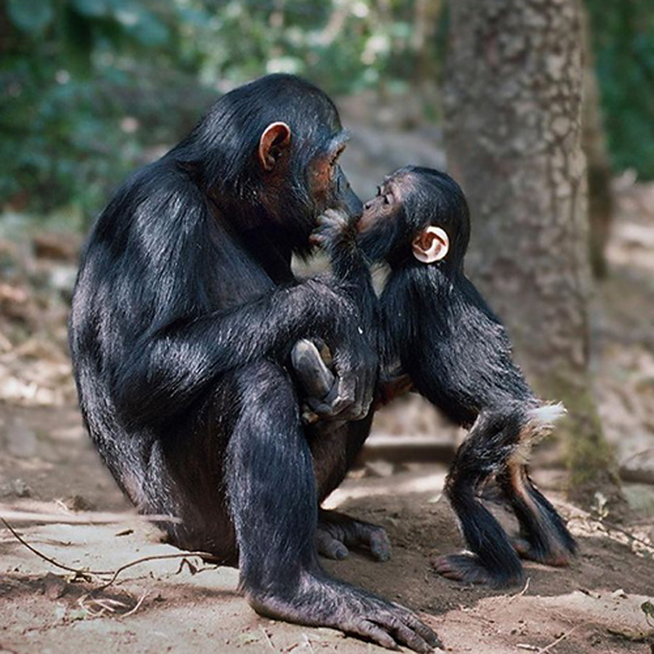 动物奇趣# #摄影#   (via.ins.ladzinski)