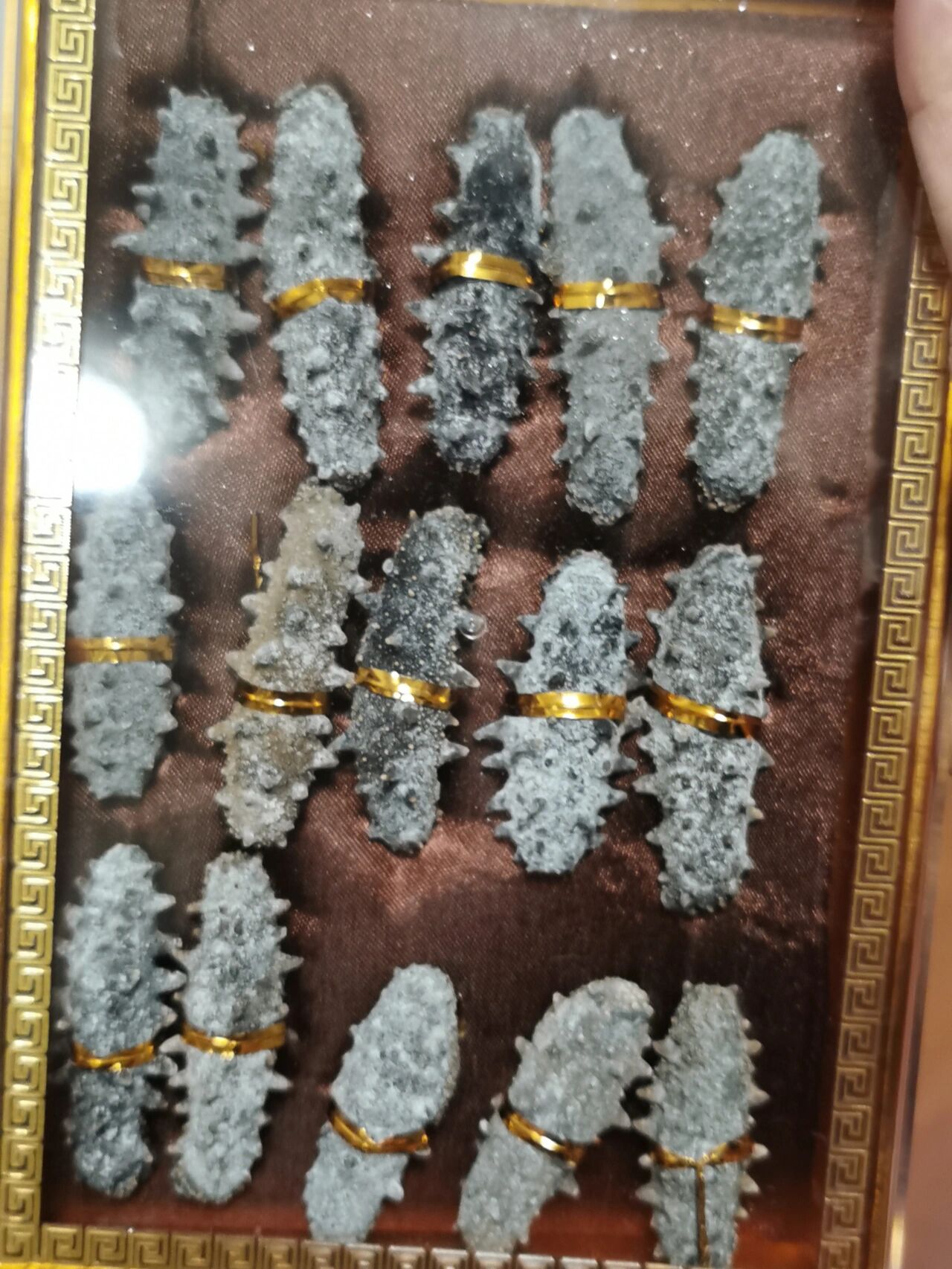 请懂行的朋友看下,这海参是发霉了吗