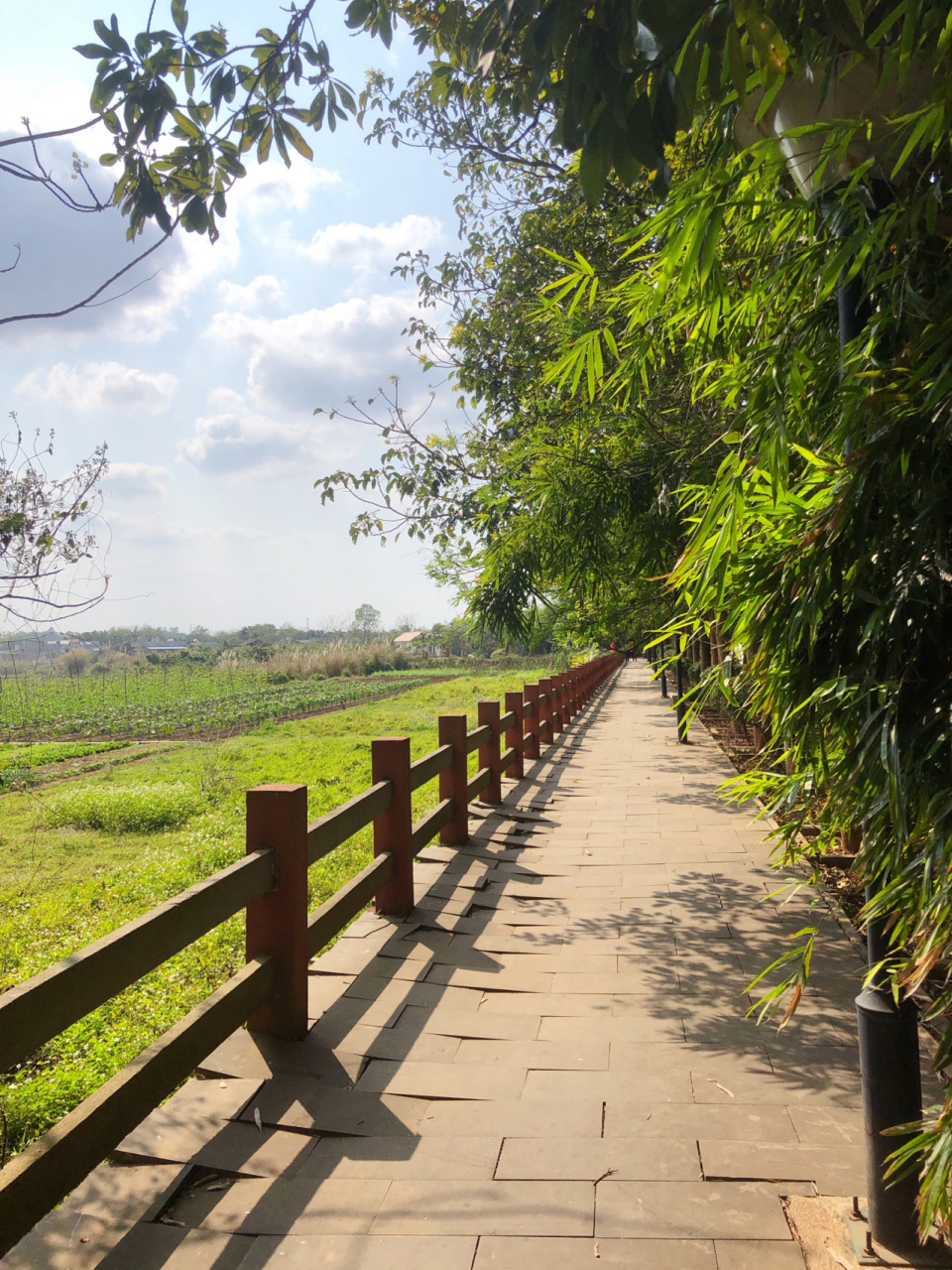 澄迈乡村旅游图片