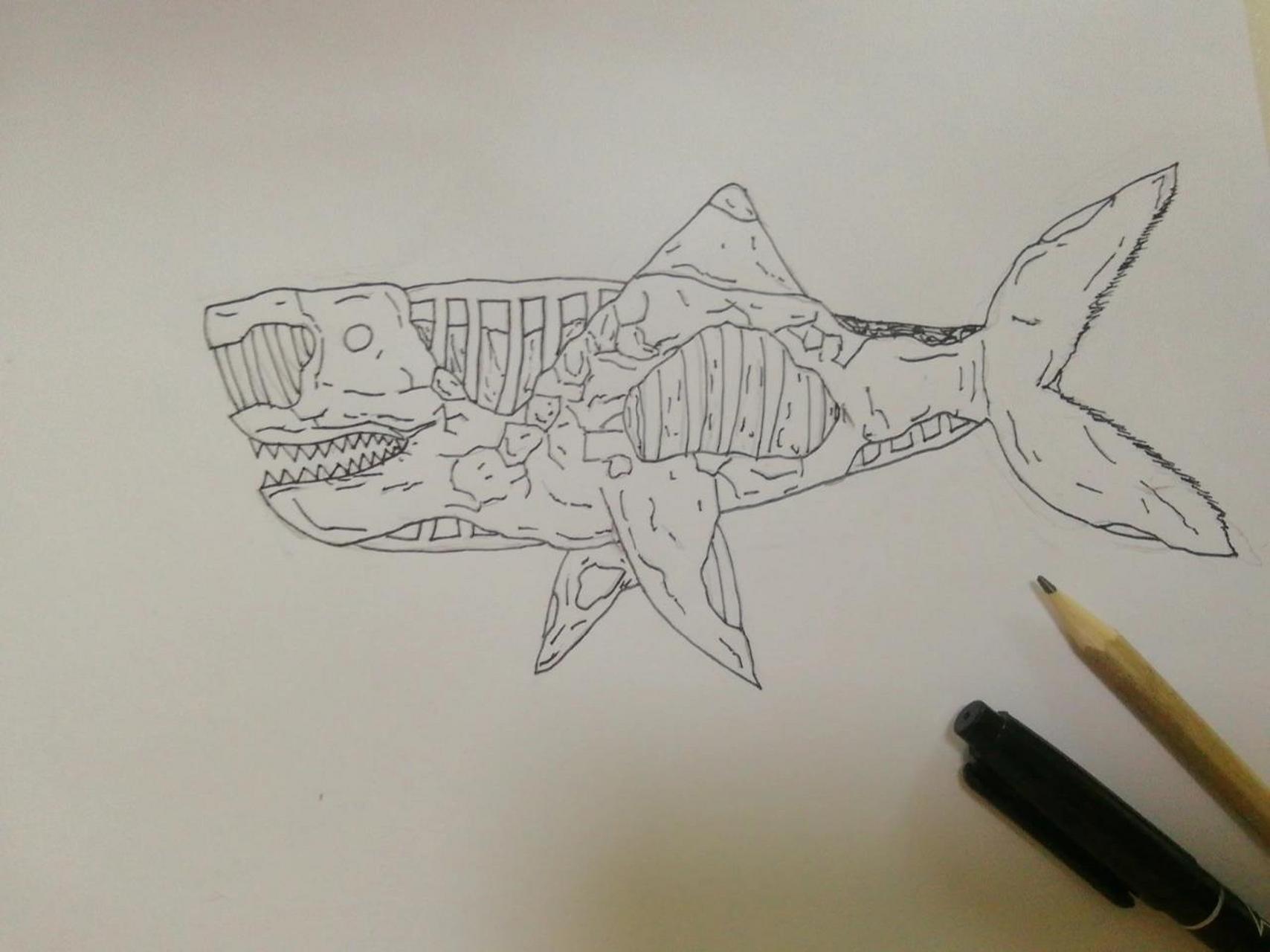 鲨鱼怎么画恐怖 绘画图片