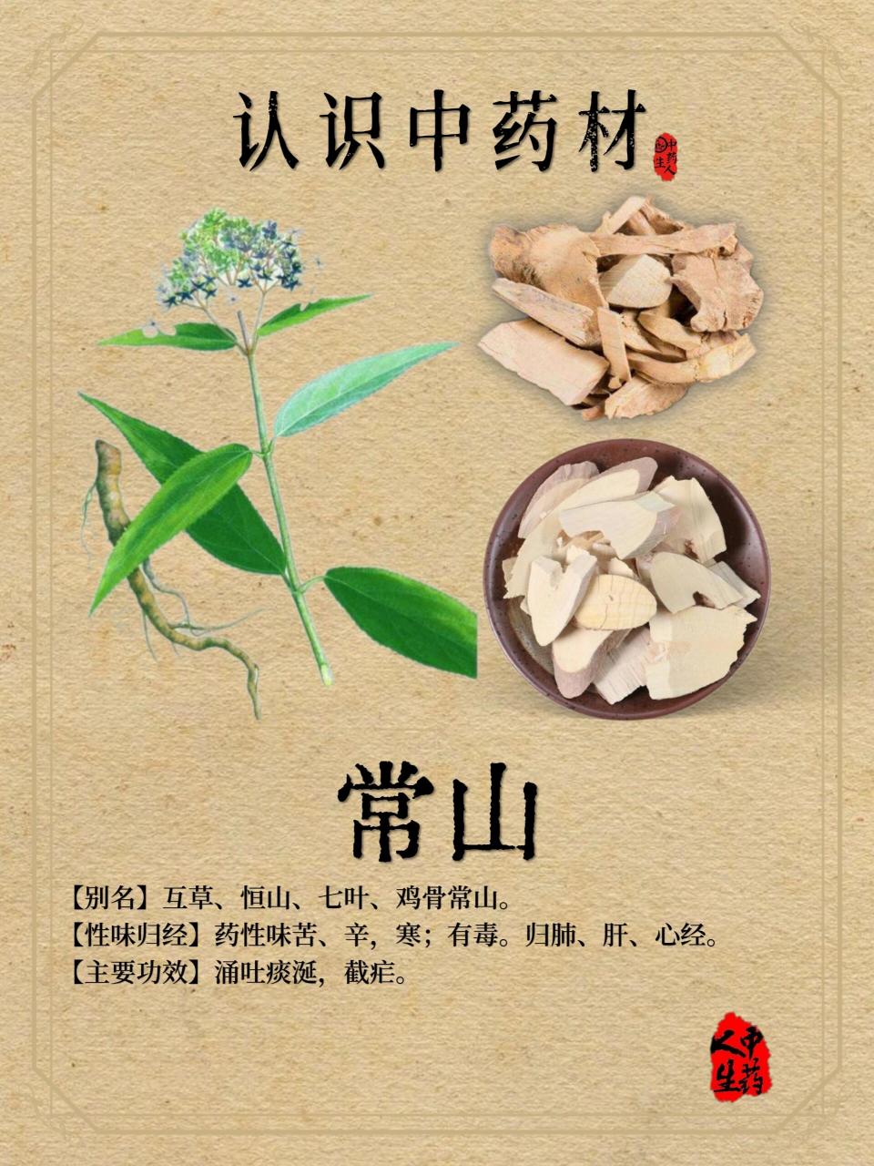 中药材—【常山】 91【中药名】常山 91【产地】分布于陕西,甘肃