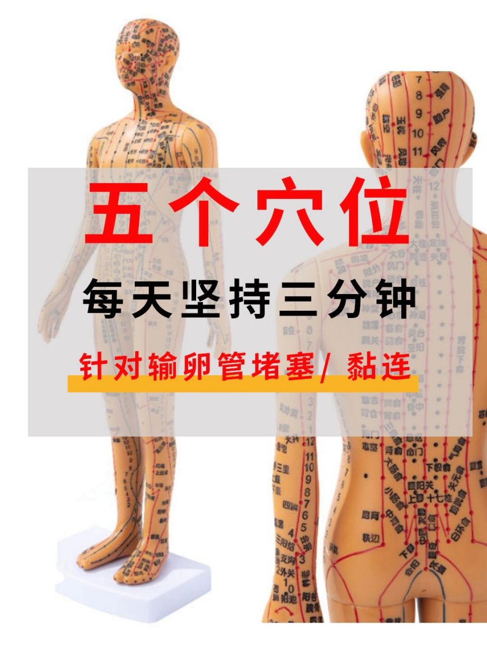 92输卵管堵塞,按摩五大穴位73 输卵管堵塞导致的女