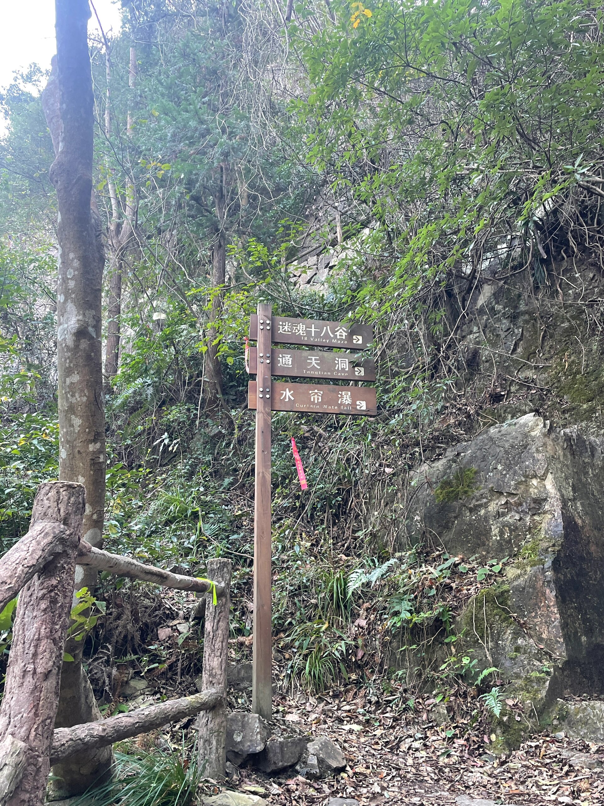 划岩山风景区怎么样图片