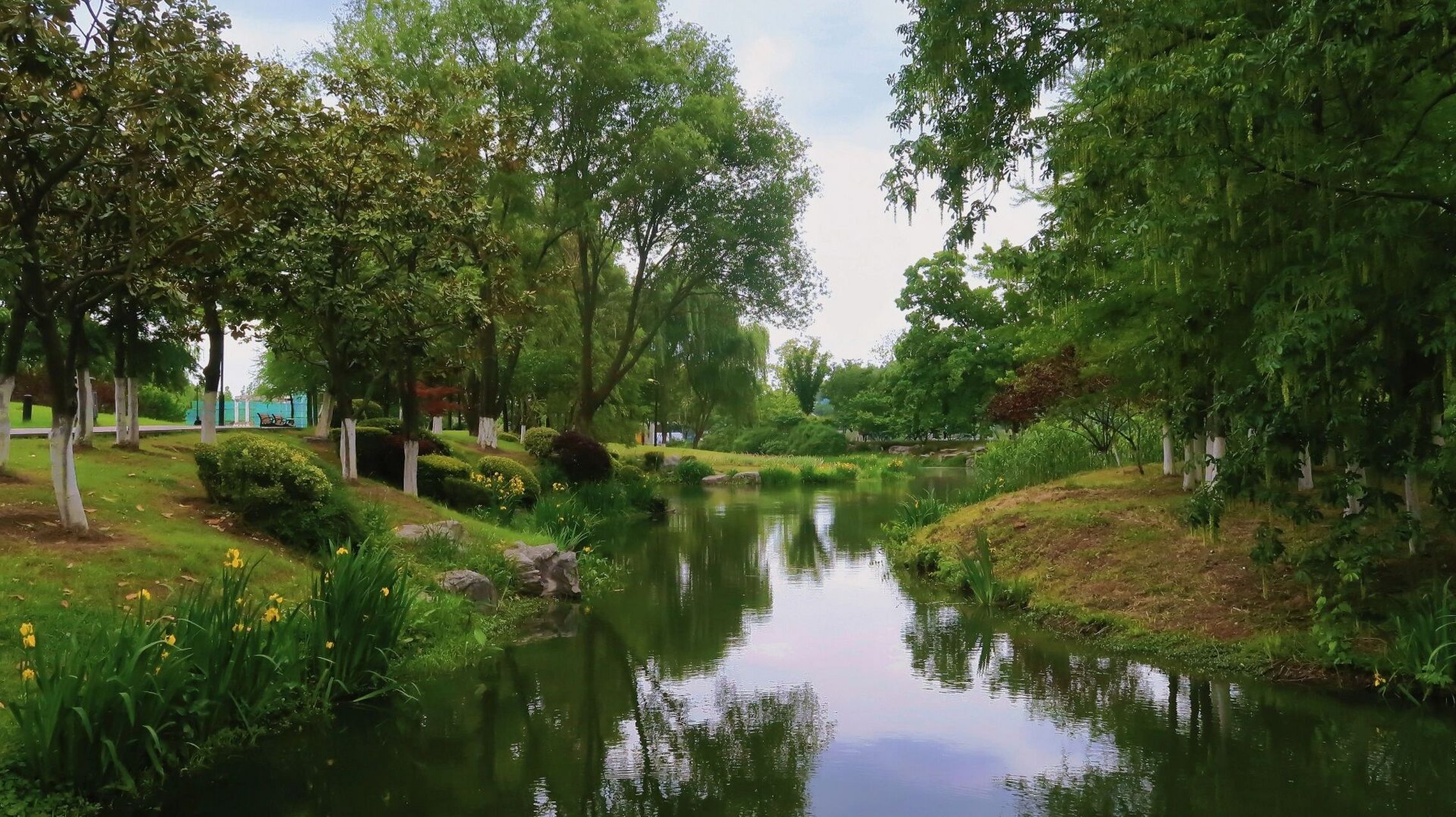 南京梧桐大道中山陵|南京旅游|朋友圈文案 朋友圈旅行