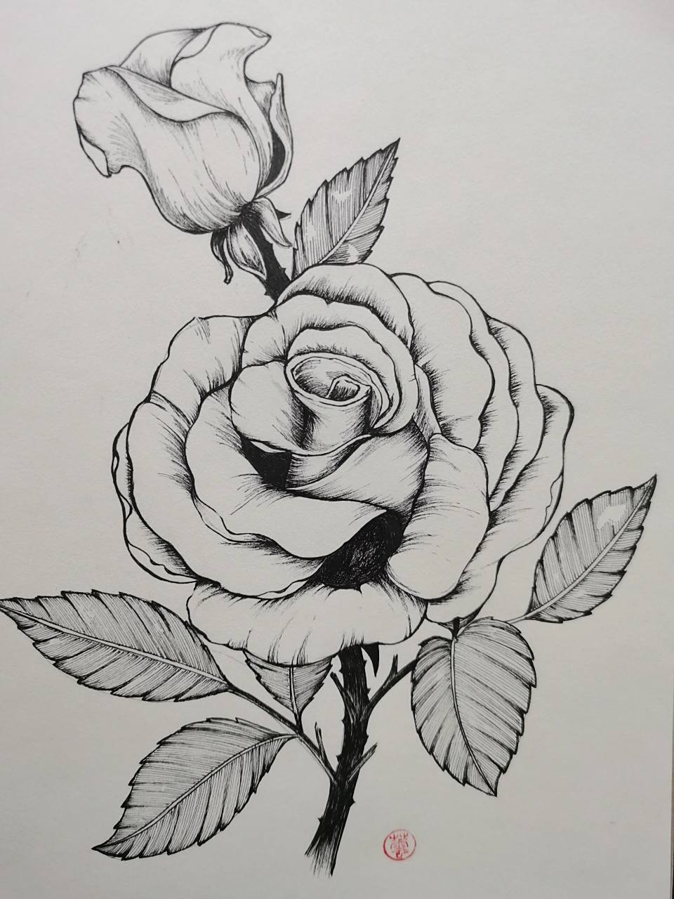 手抖画错的玫瑰花98
