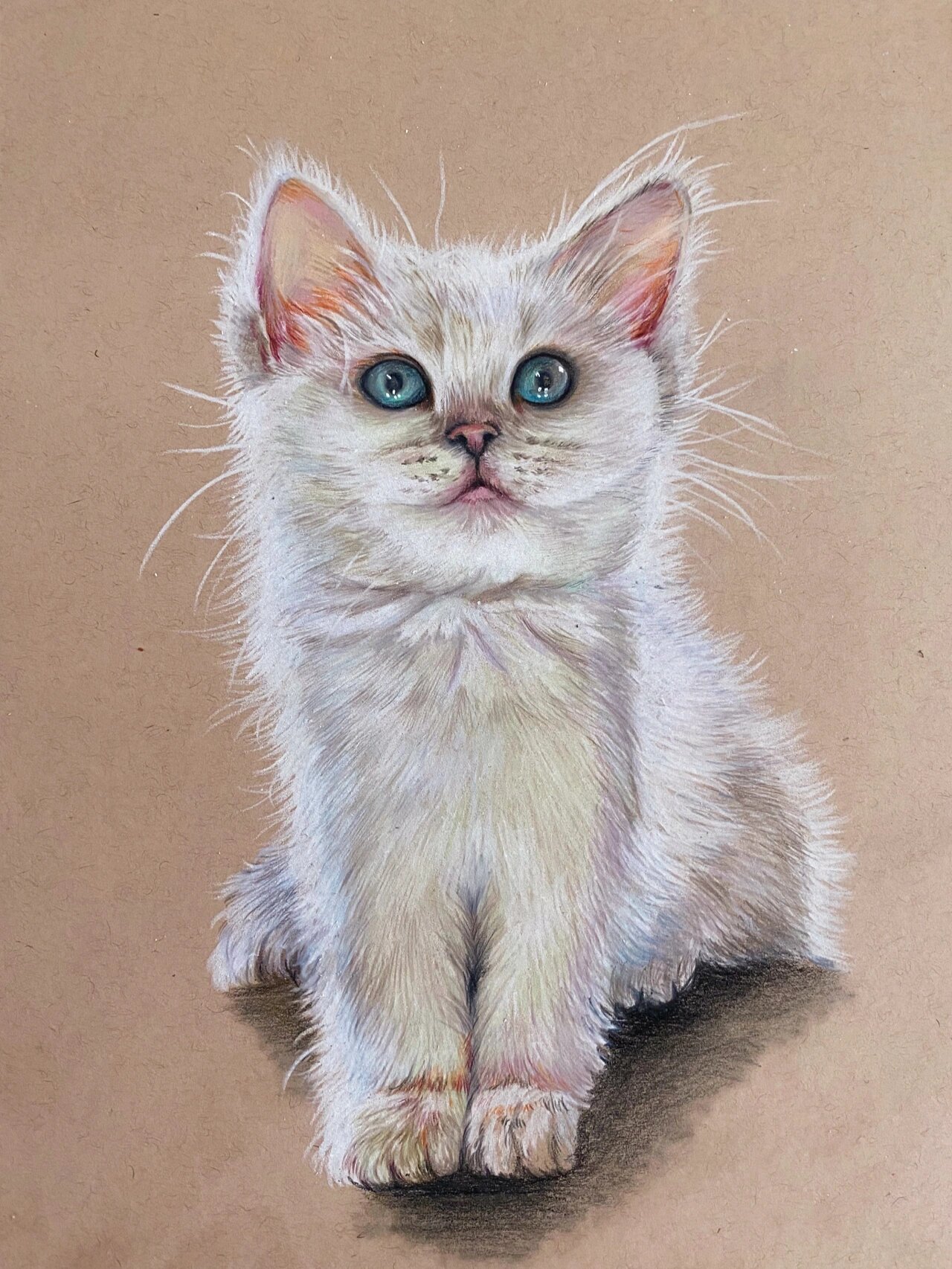 彩铅画 猫