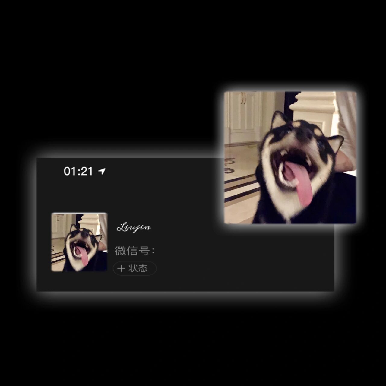 一些柴六斤的憨憨头像       快来换上六斤的沙雕头像