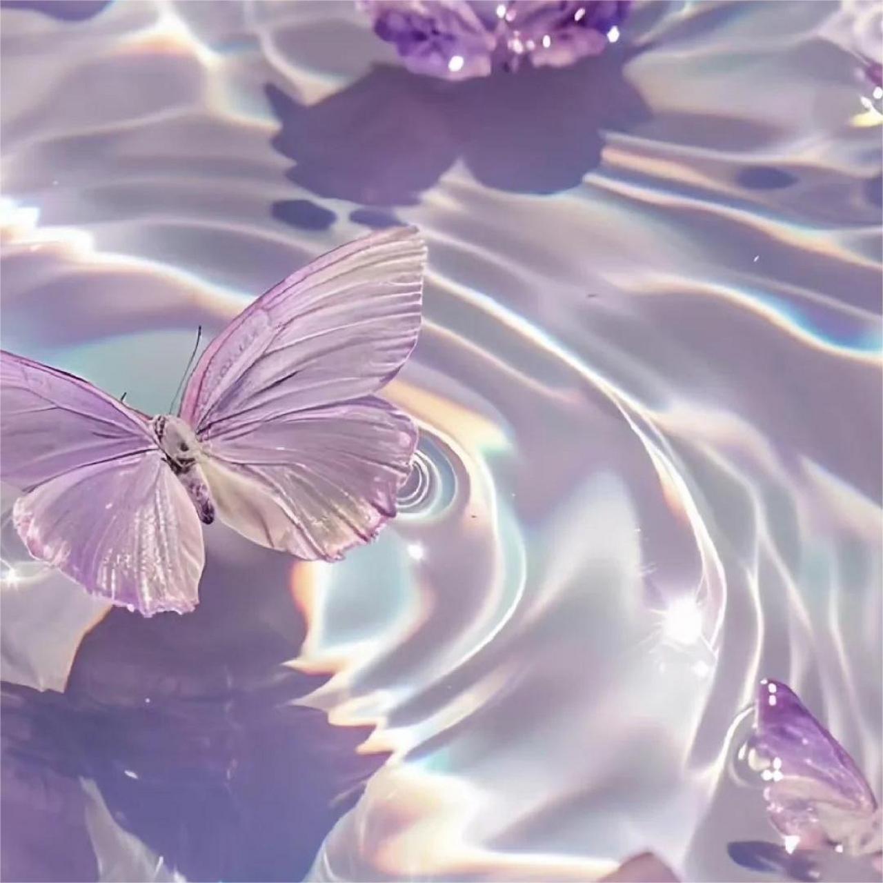 蝴蝶做微信头像的寓意图片