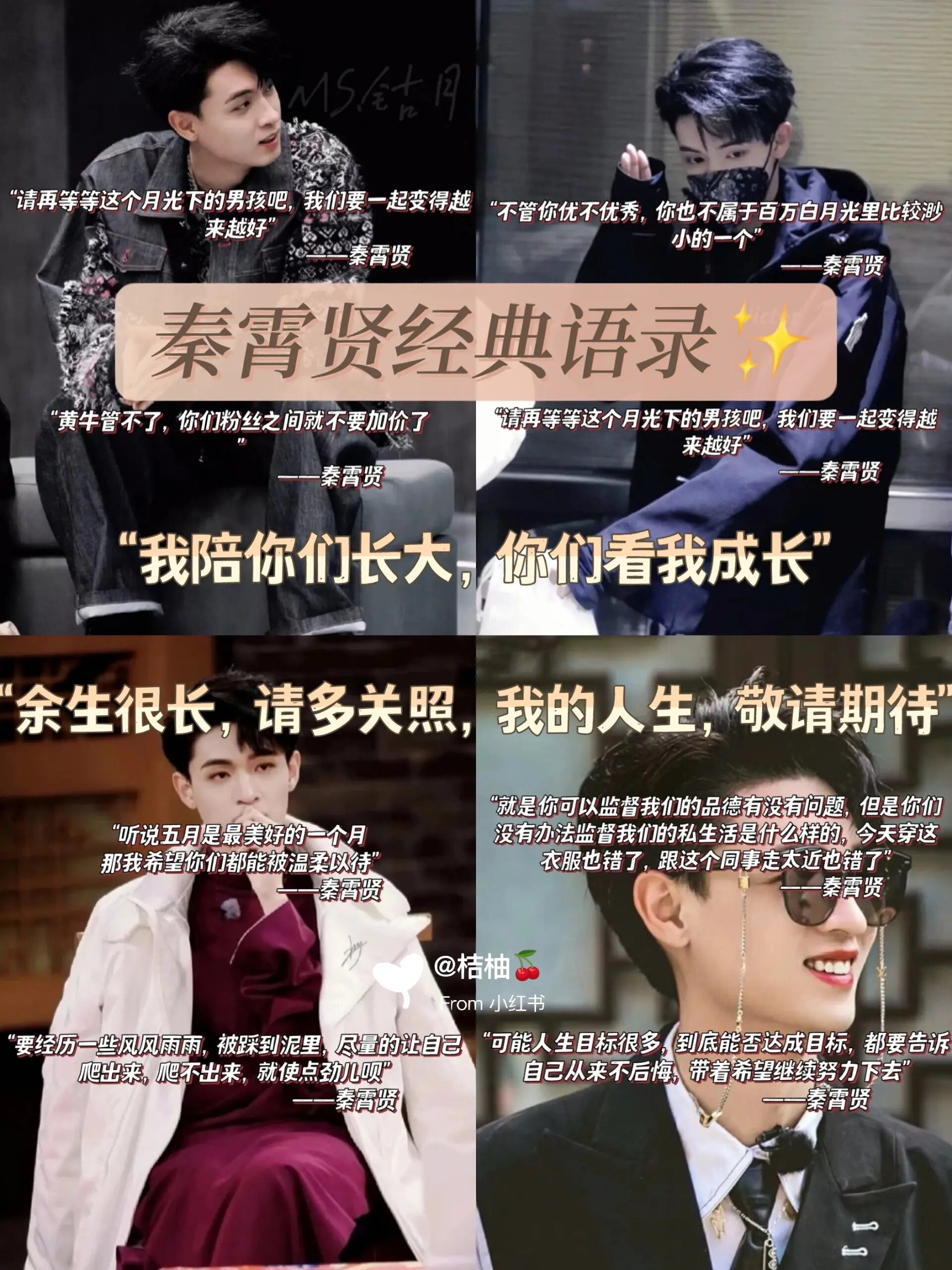 秦霄贤经典语录✨