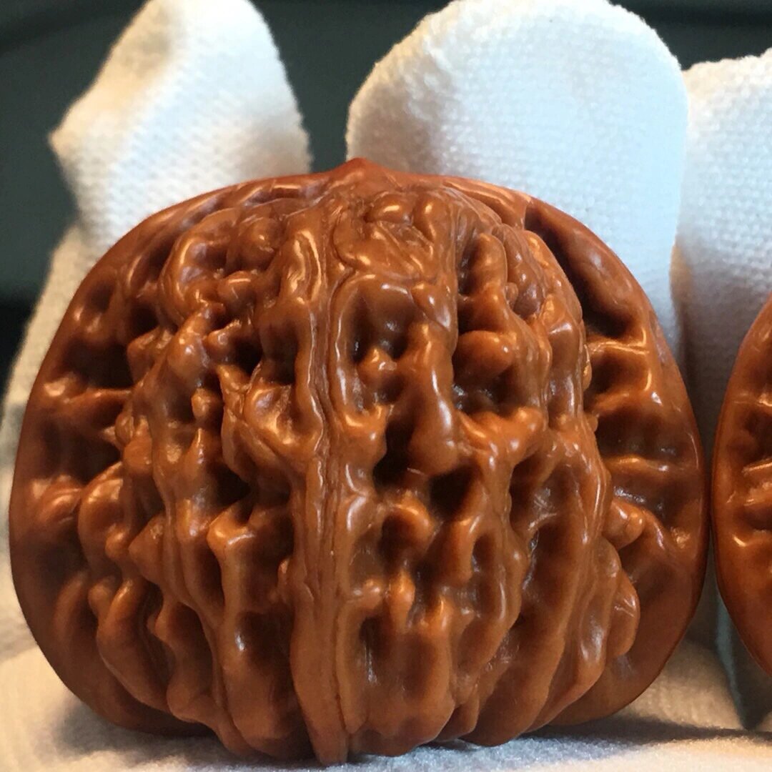 半张多一对的平谷四座楼 不香吗 正宗平谷四座楼 大菊花底 流水纹