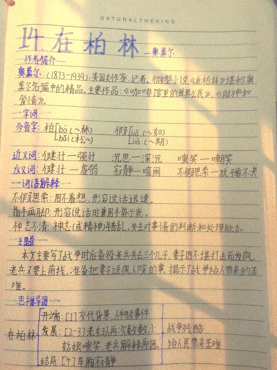 六年級上冊語文第十四課在柏林筆記