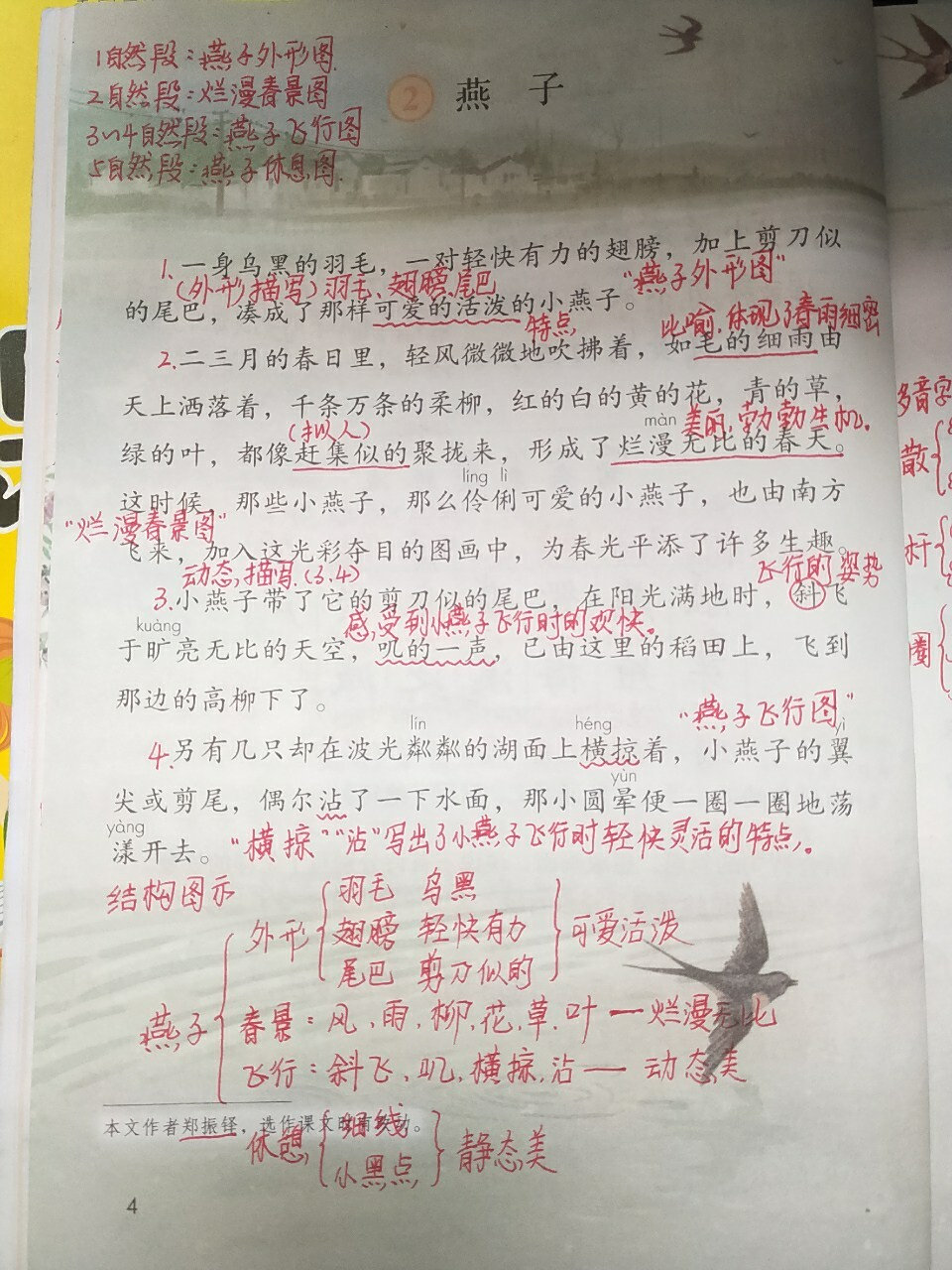 三年级语文下册第二课《燕子》课堂笔记