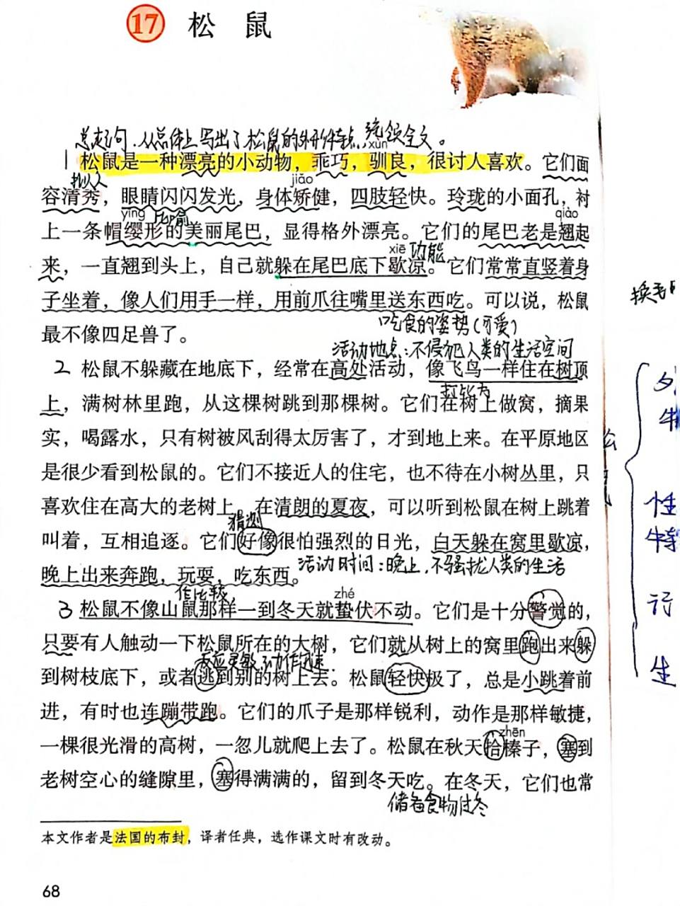五上语文17课《松鼠》课文批注 #小学语文课堂笔记# #五年级上册语文