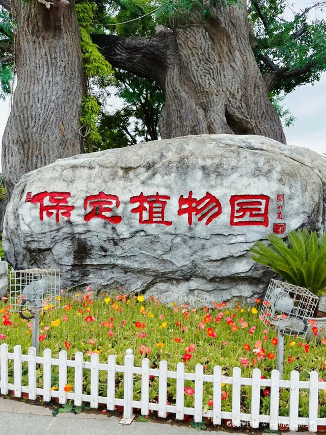 保定市植物园门票图片