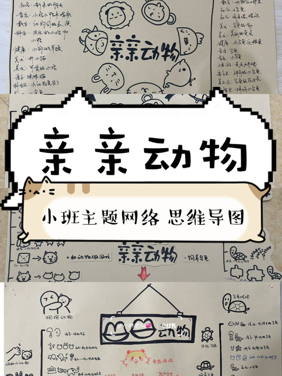 06拥抱动物 06乌龟爬爬 06仓鼠滚滚 #思维导图# #幼儿园主题墙