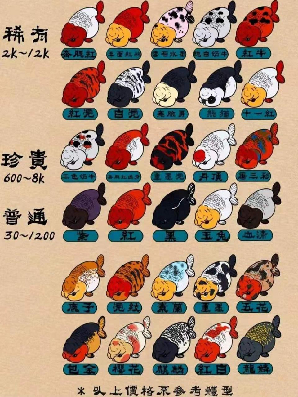 兰寿图鉴仅供参考 兰寿图鉴仅供参考