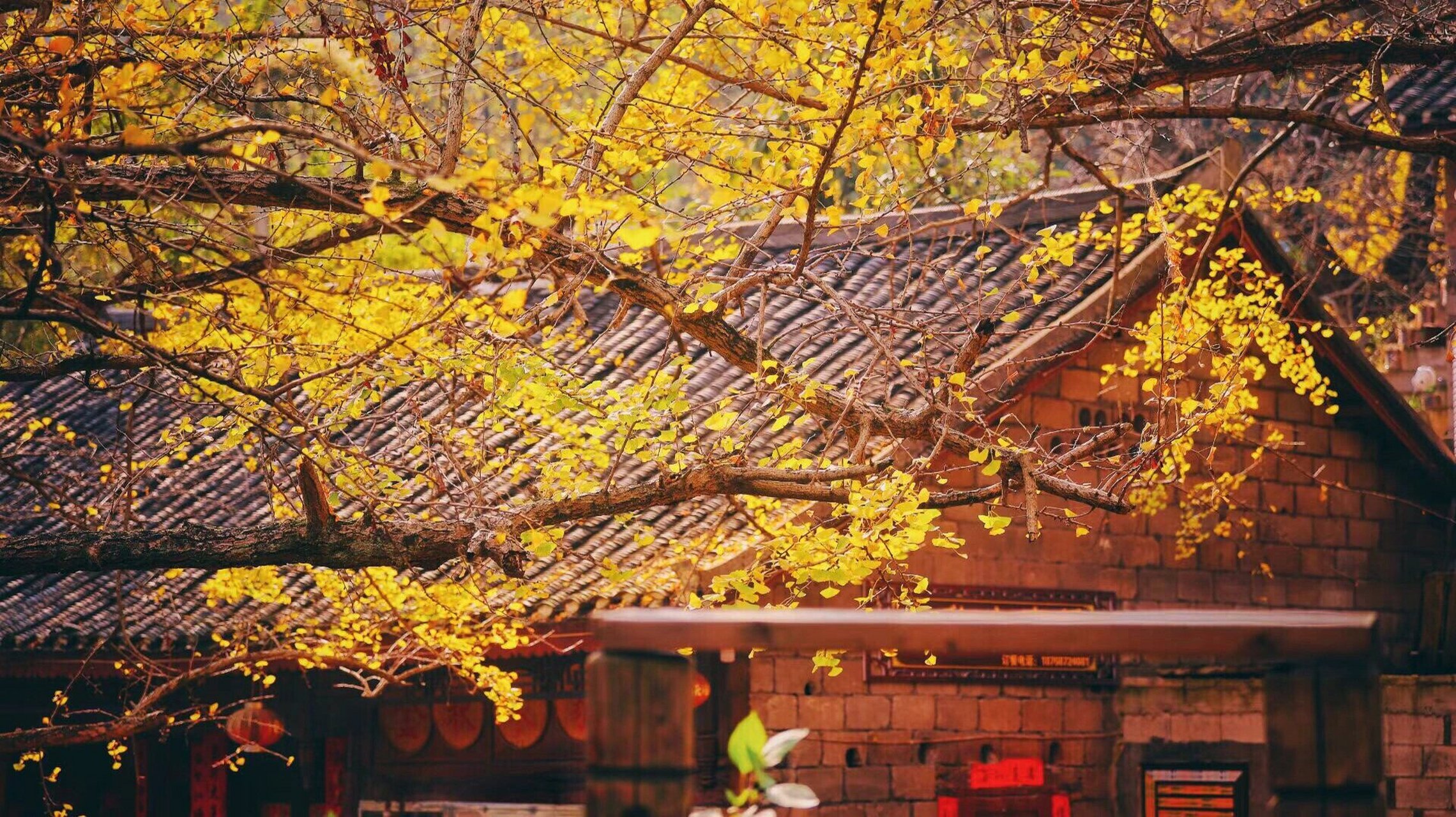 08实拍呦～ 9393贵州妥乐村 95妥乐村是贵州深处的一个低调古朴