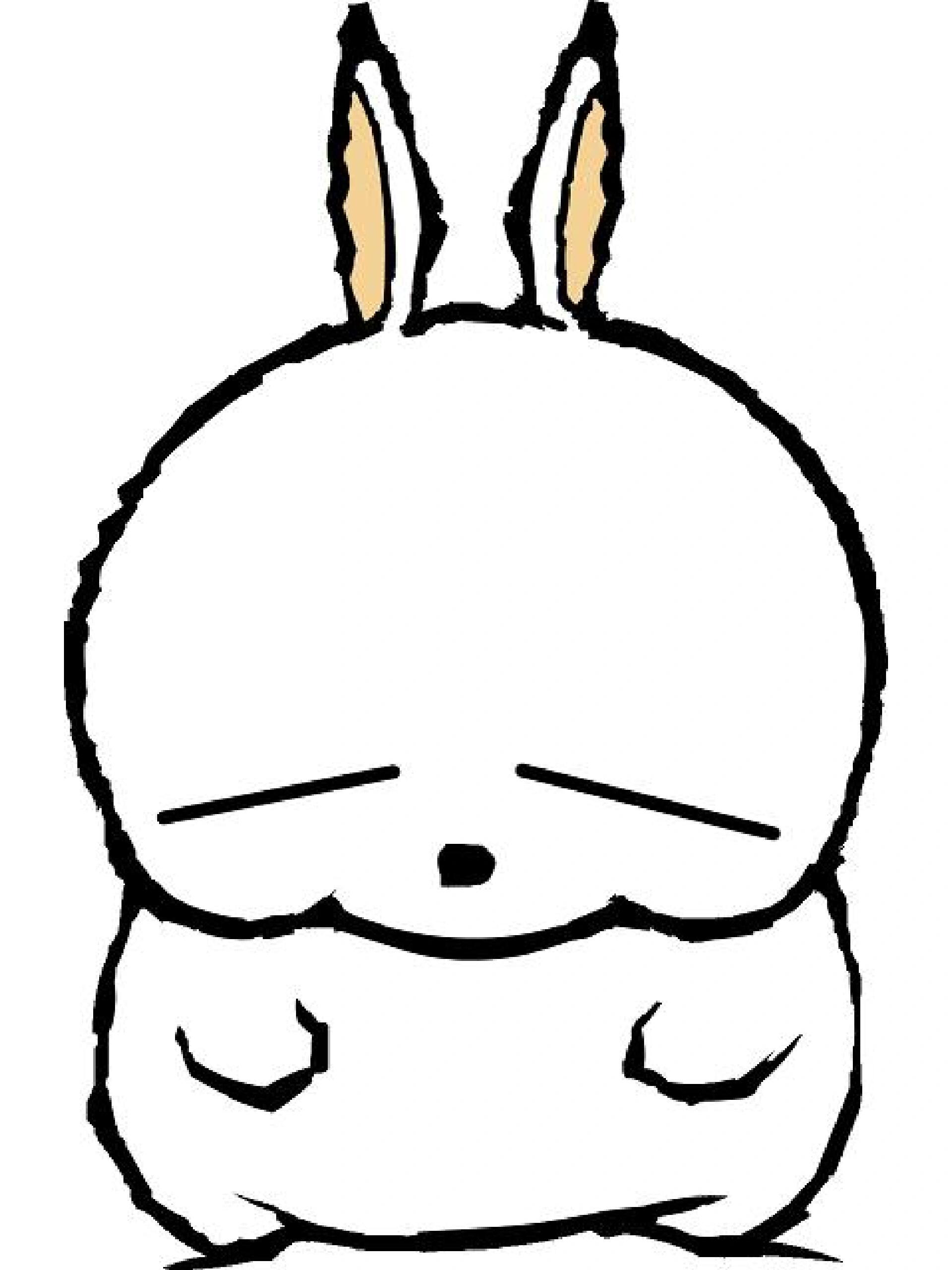 善良可爱流氓兔(05040890040805)