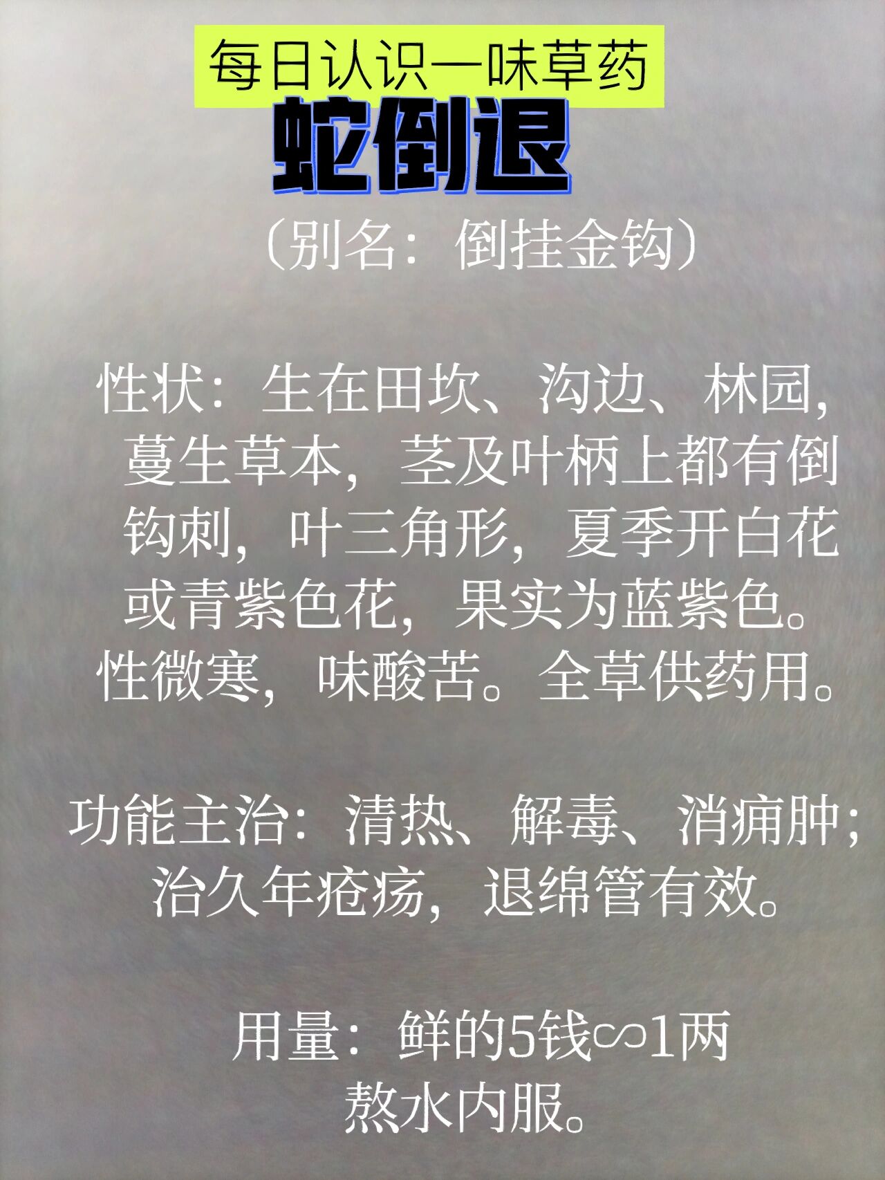 草药:蛇倒退的药用价值