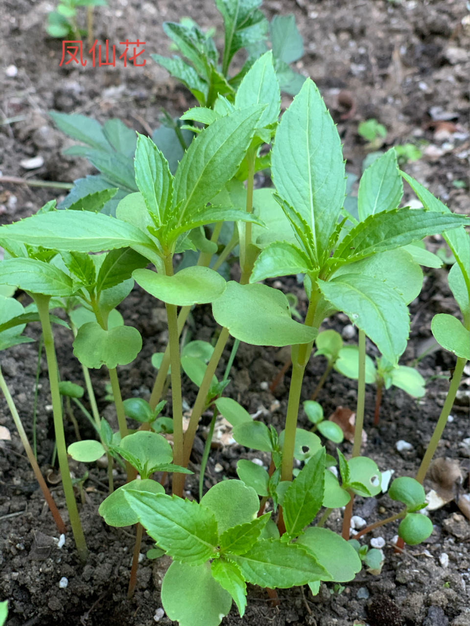 《鬼谷子》-1 "捭阖"是鬼谷子开篇的思想,首先我们得明确一下,捭阖是