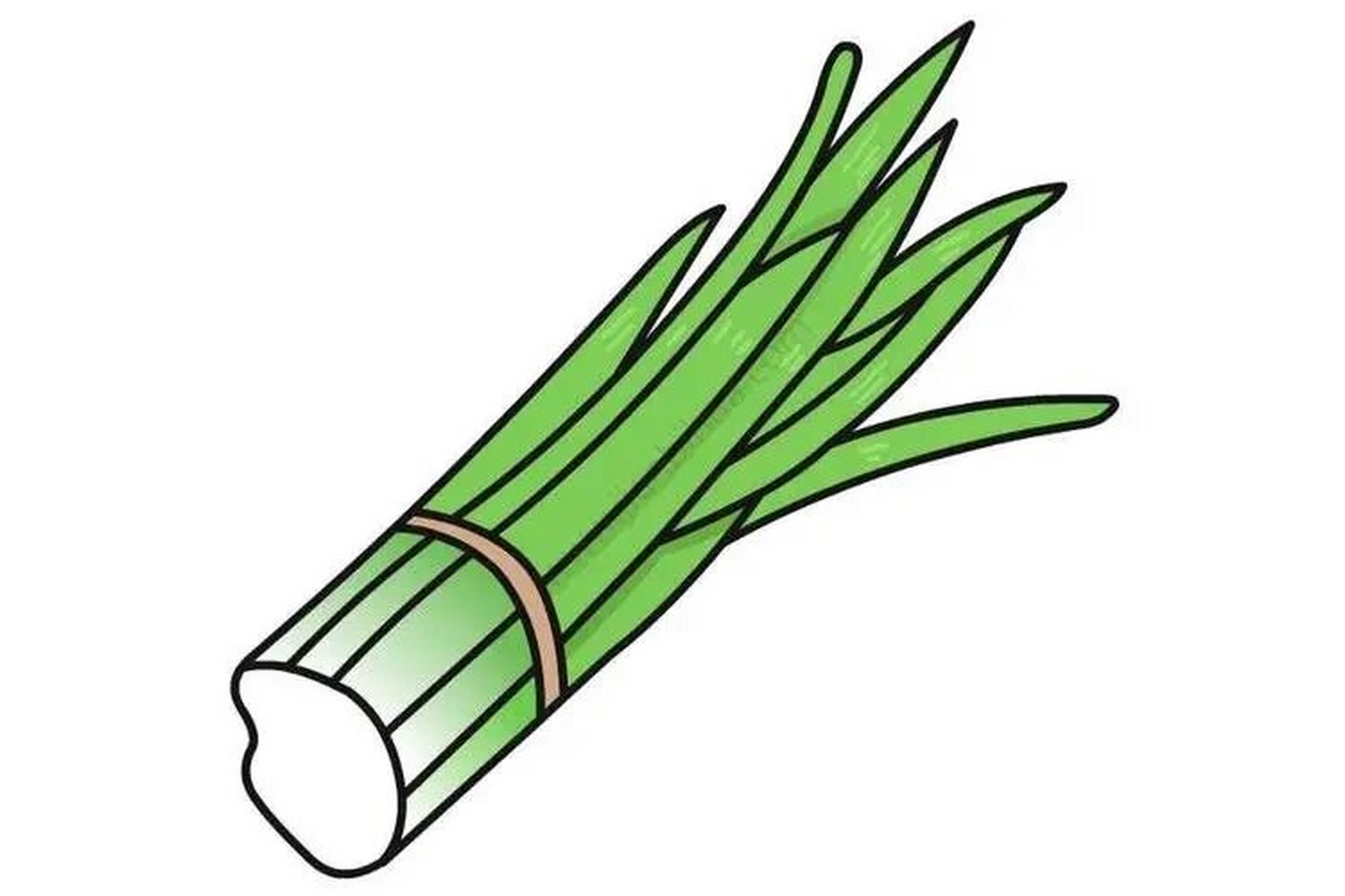 韭菜简笔画