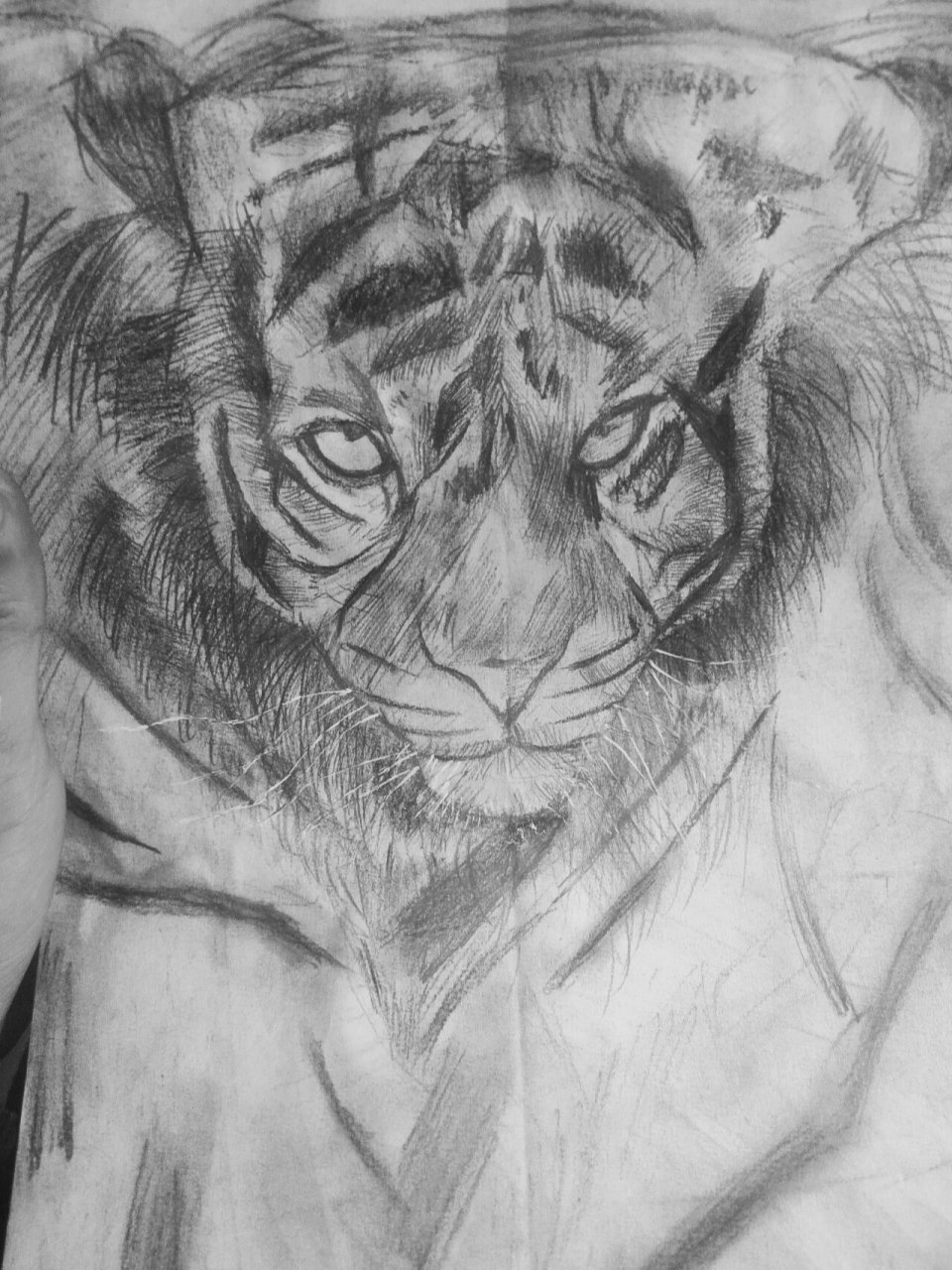 a4纸绘画 a4绘画