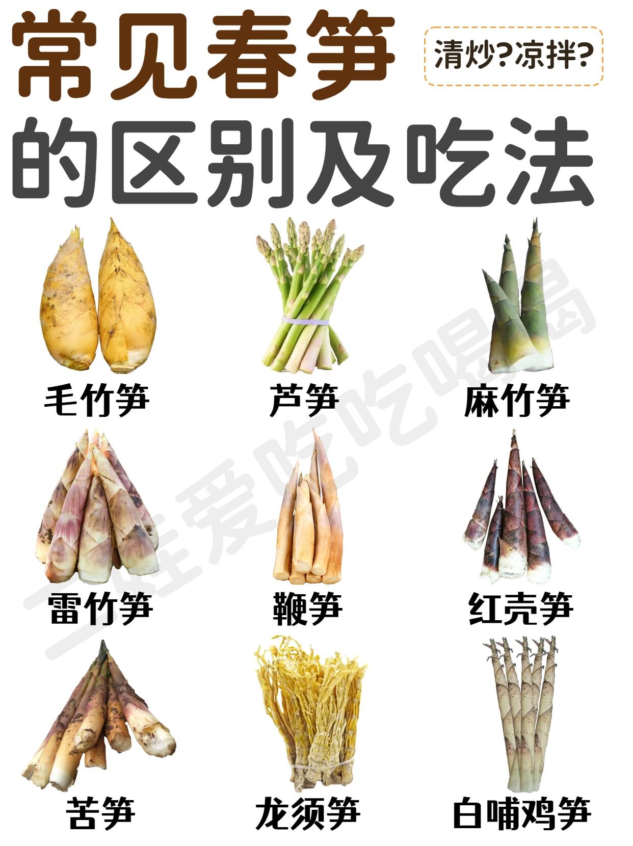 常见春笋的区别及吃法97春日限定鲜味97