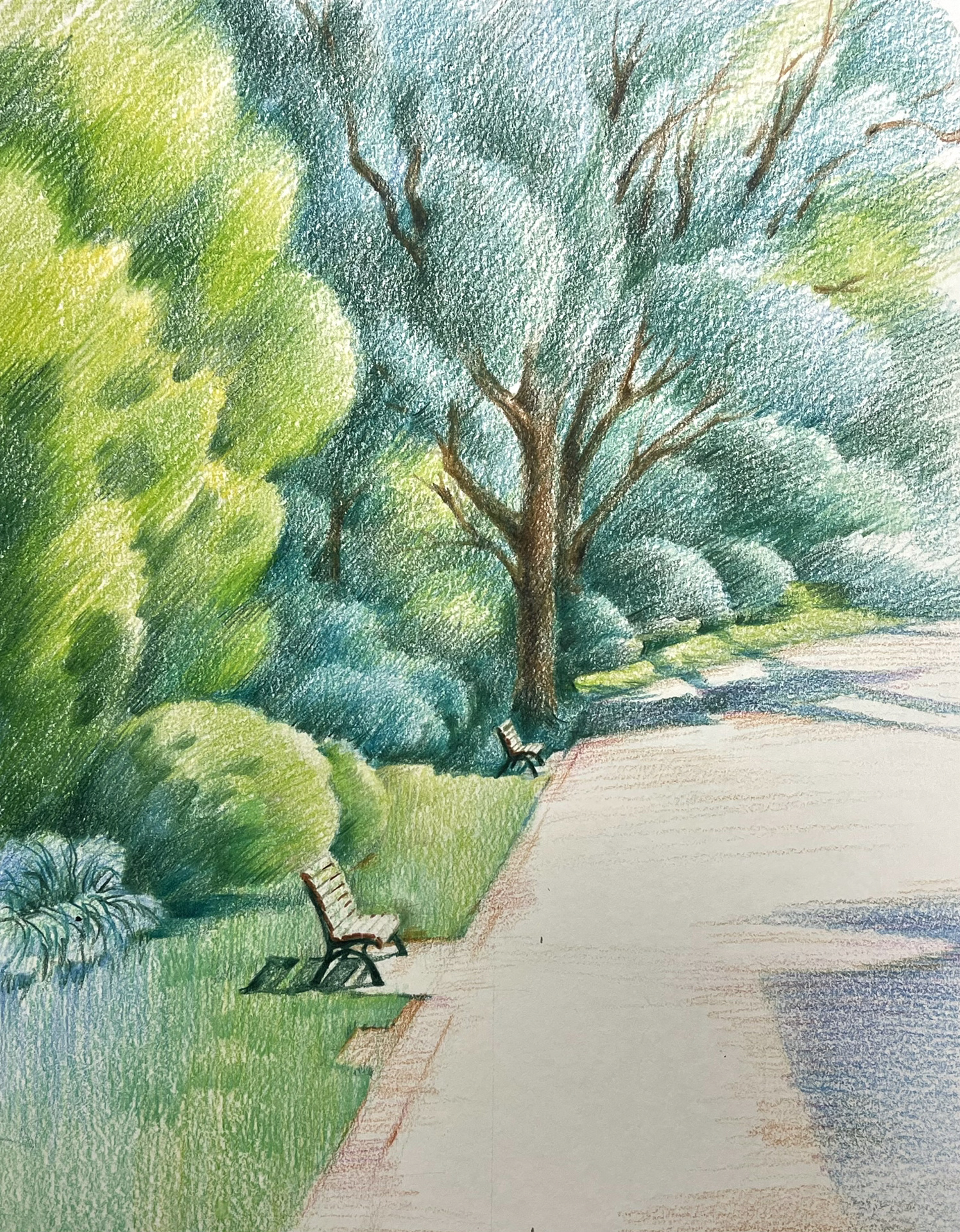 彩铅手绘 林荫小道 这是一幅小景绘画,特别适合初学者.