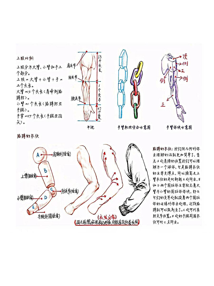 速写人物|上肢(手臂篇) 速写人物|上肢(手臂篇) 对肌肉和骨骼的理解是