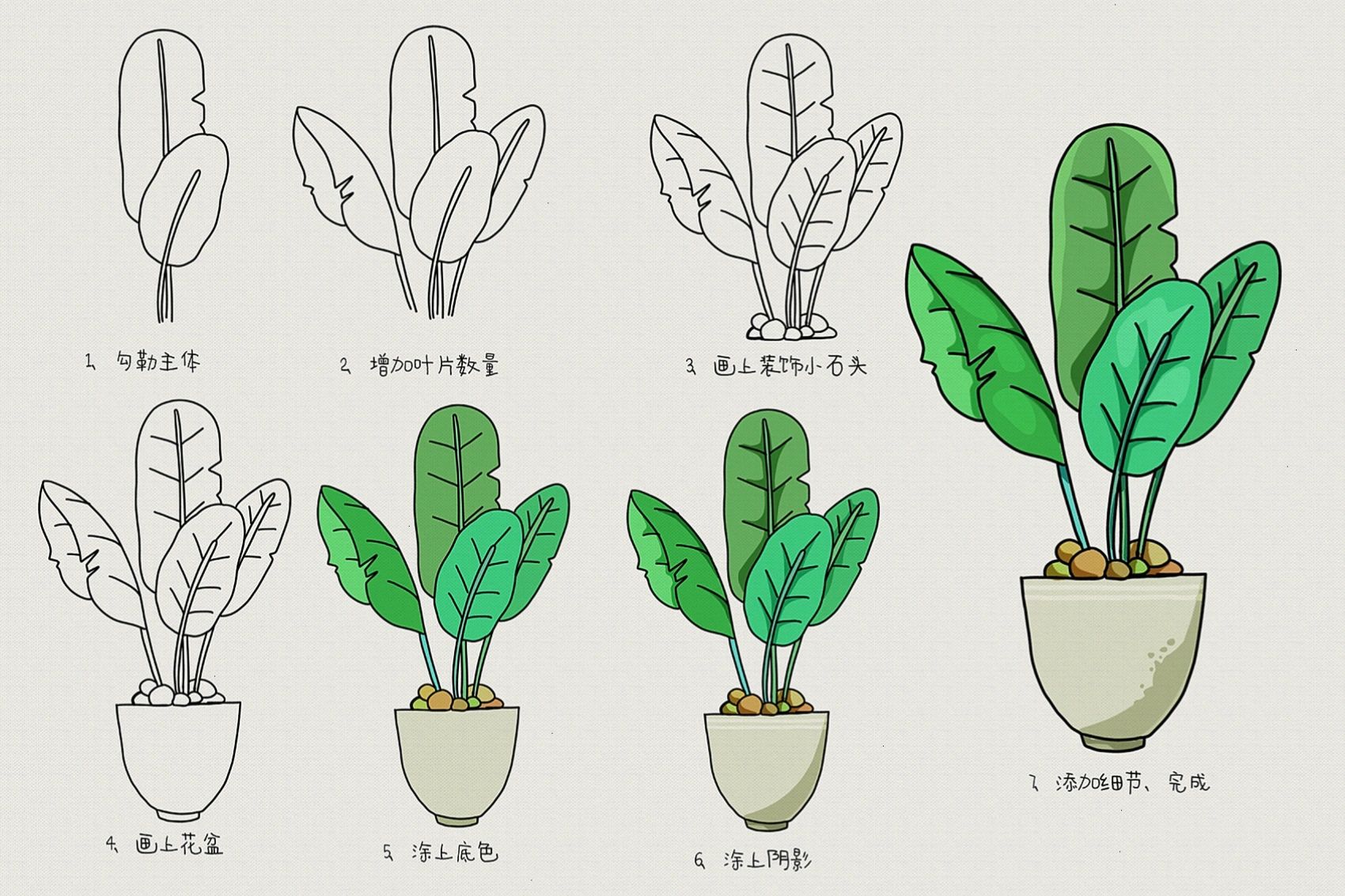 简单易学 i 花卉 绿色盆栽简笔插画教程