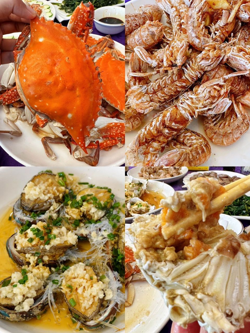 去芦潮港食海鲜! 98东海开海,分外期待!