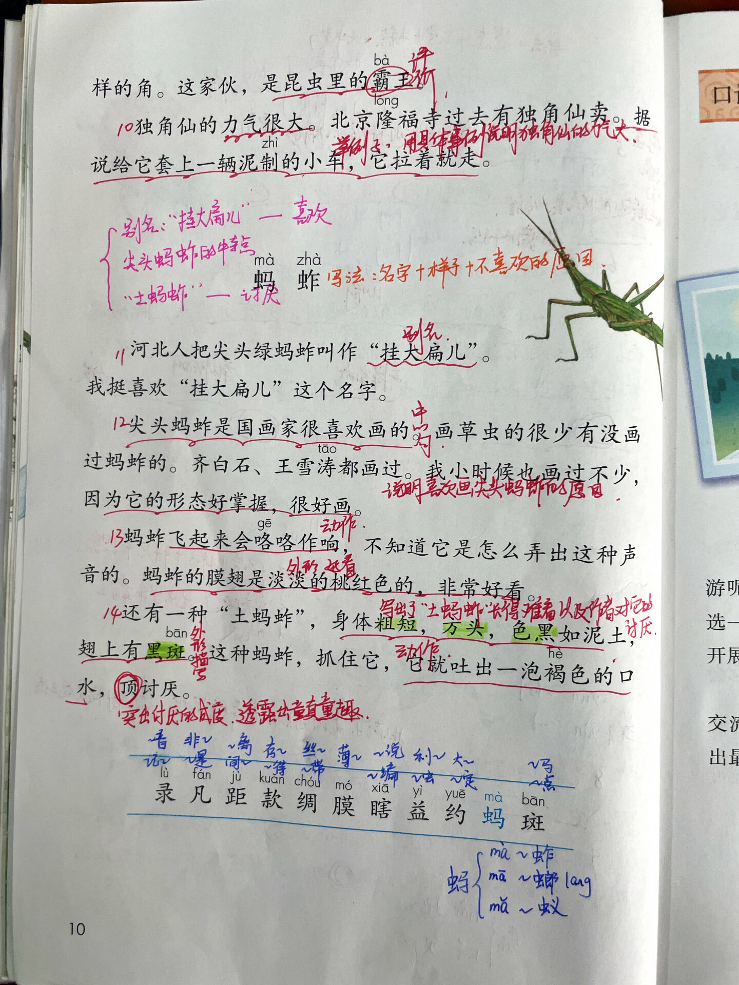 三年级下册语文第四课《昆虫备忘录》课堂笔记