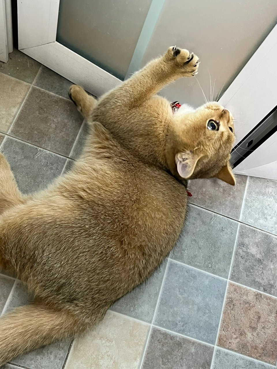 迷一样的色号,颜色越来越深